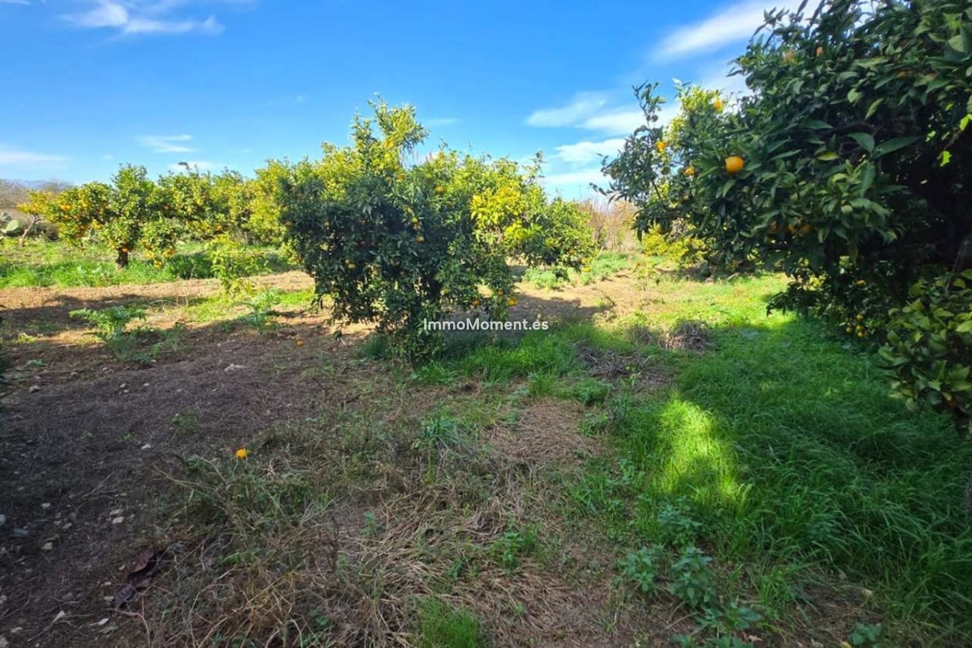 Bestaande woning - Villa - Binnenland  - Alhaurín de la Torre