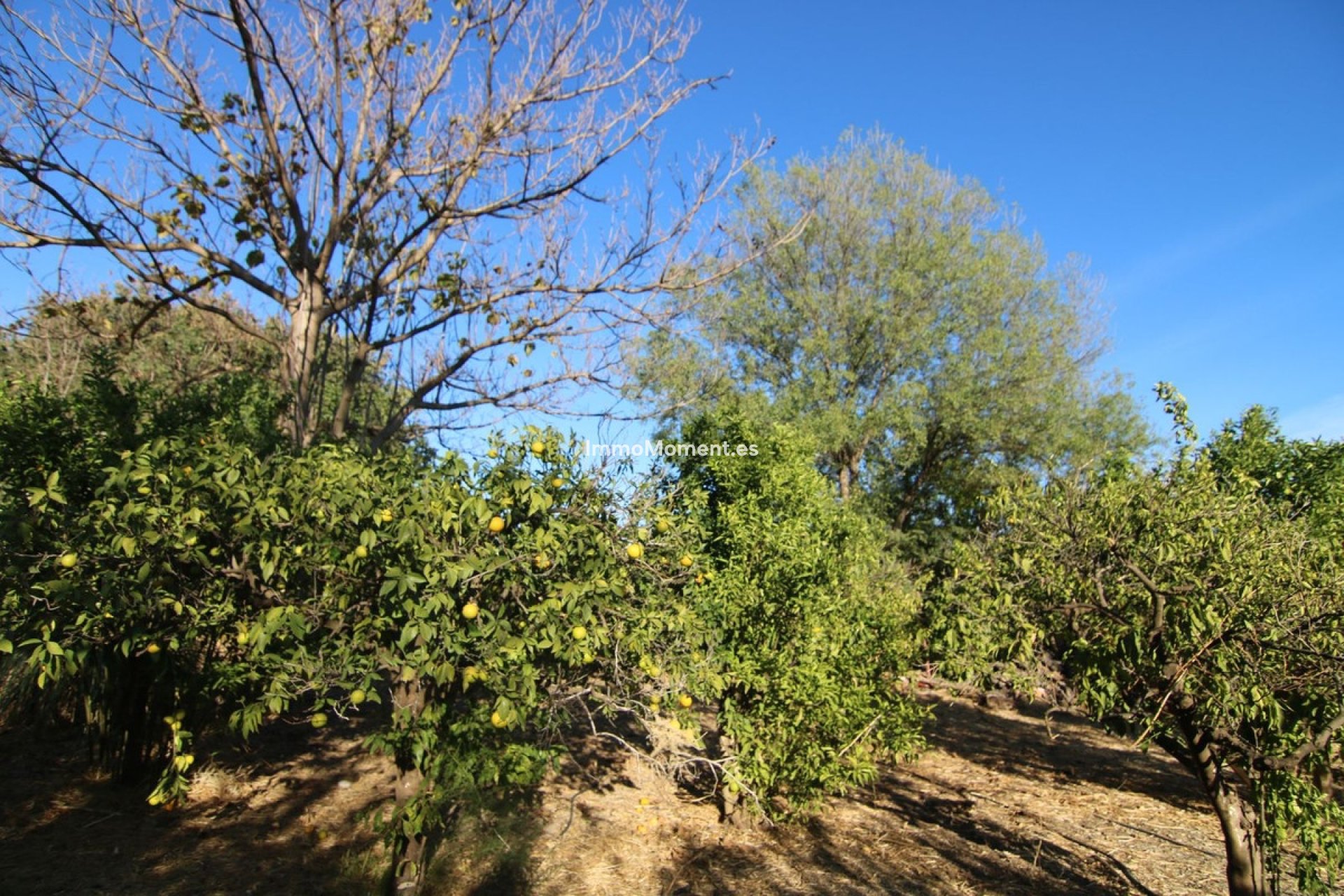 Bestaande woning - Villa - Binnenland  - Alora