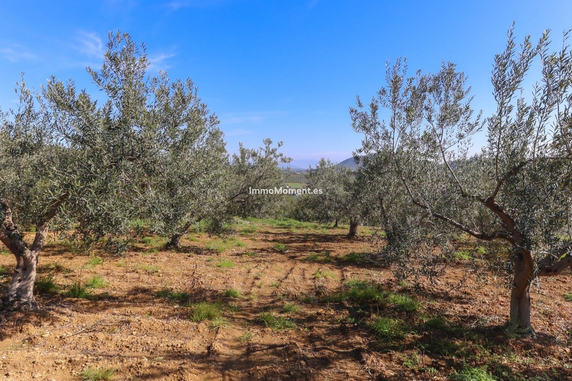 Bestaande woning - Villa - Binnenland  - Guaro