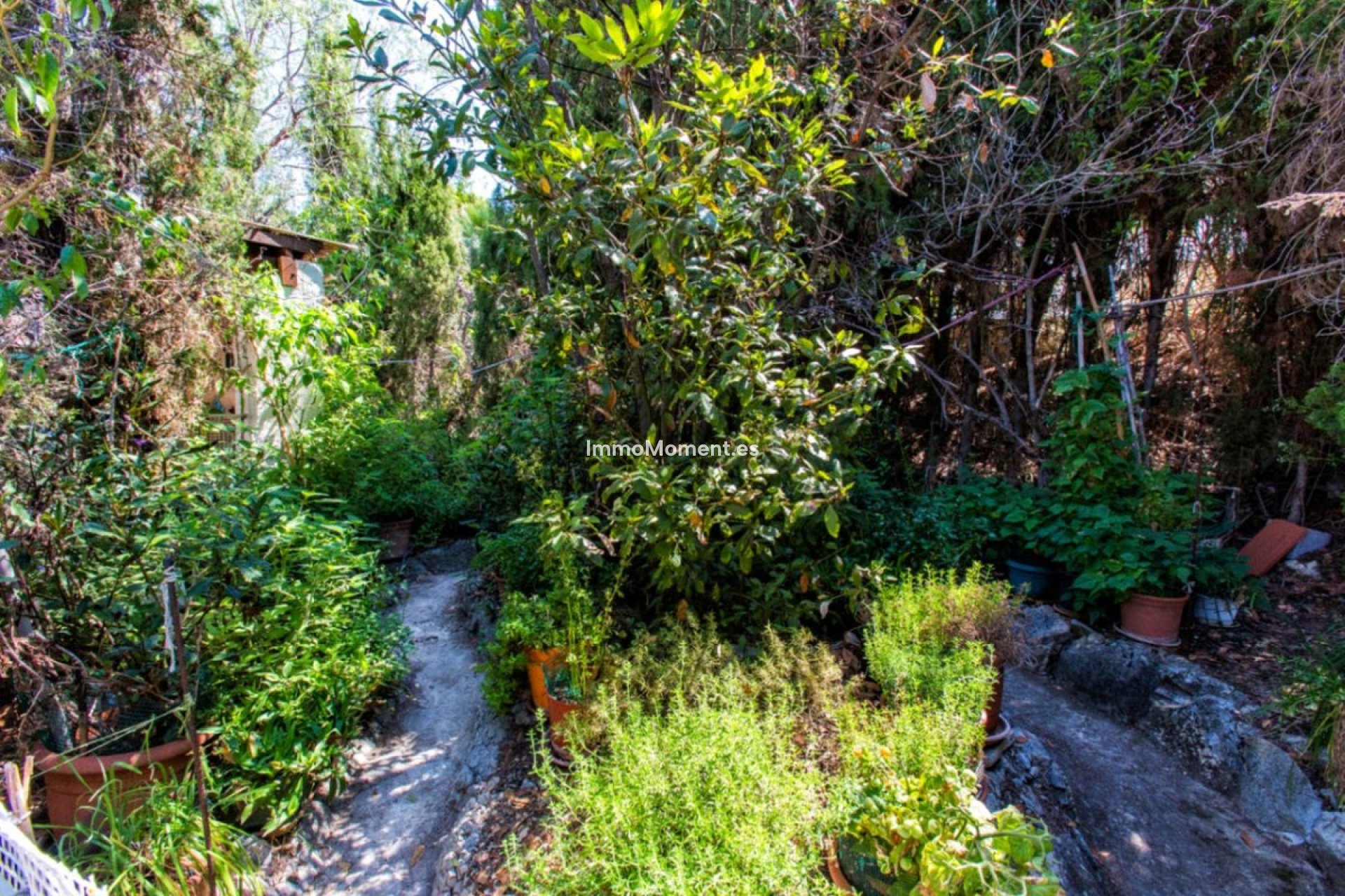 Bestaande woning - Villa - Calpe - Calpe Centro