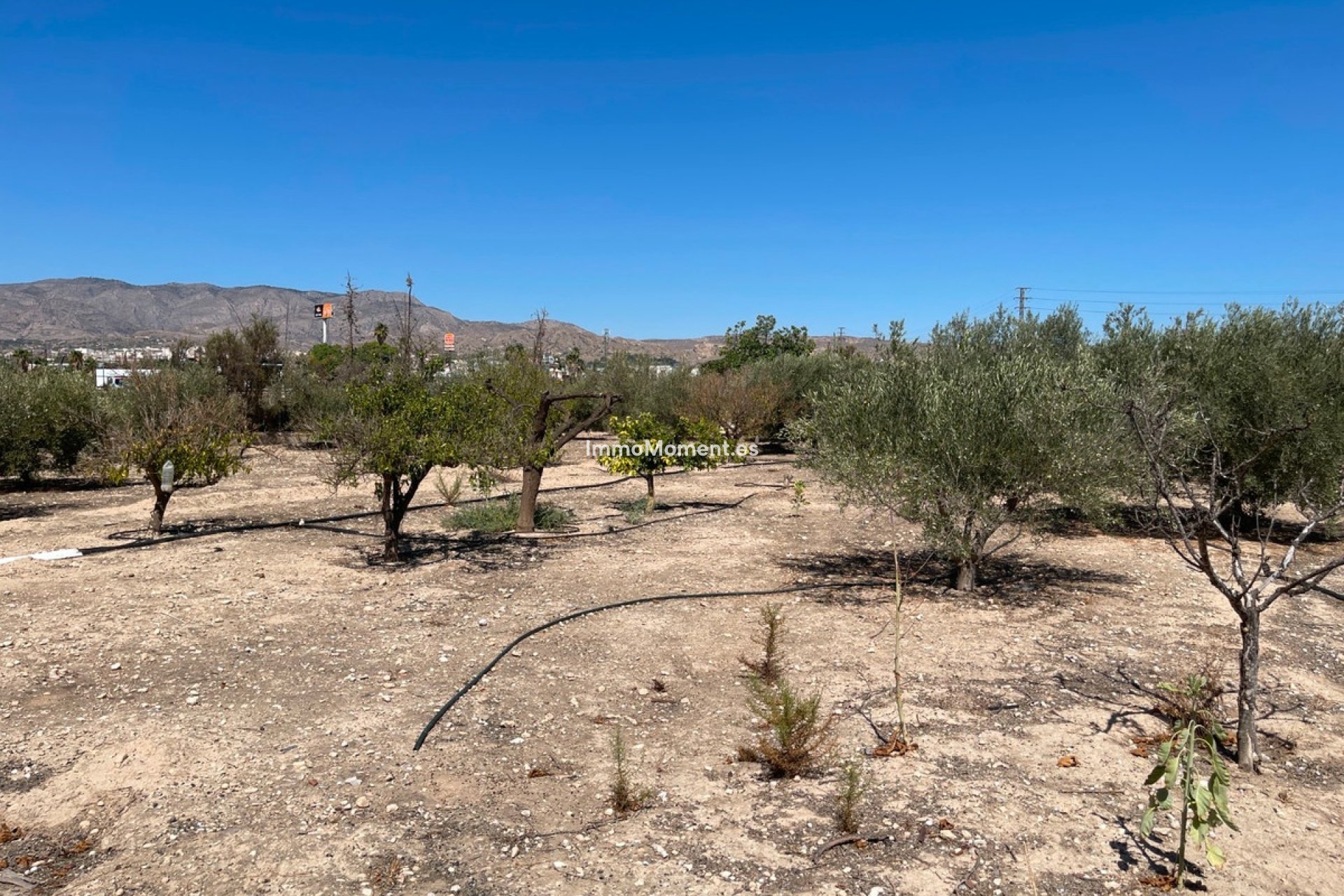 Bestaande woning - Villa - Crevillente - Crevillente - Crevillent Centro