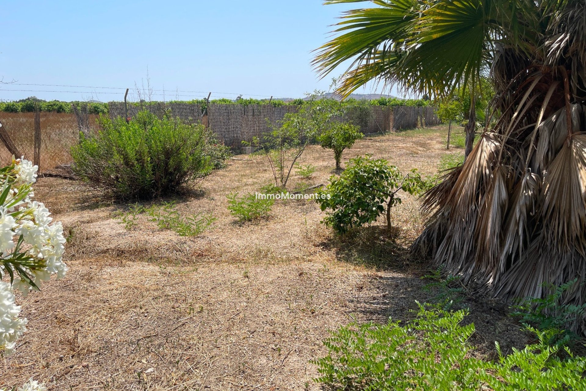 Bestaande woning - Villa - Daya Nueva - Daya Nueva Centro