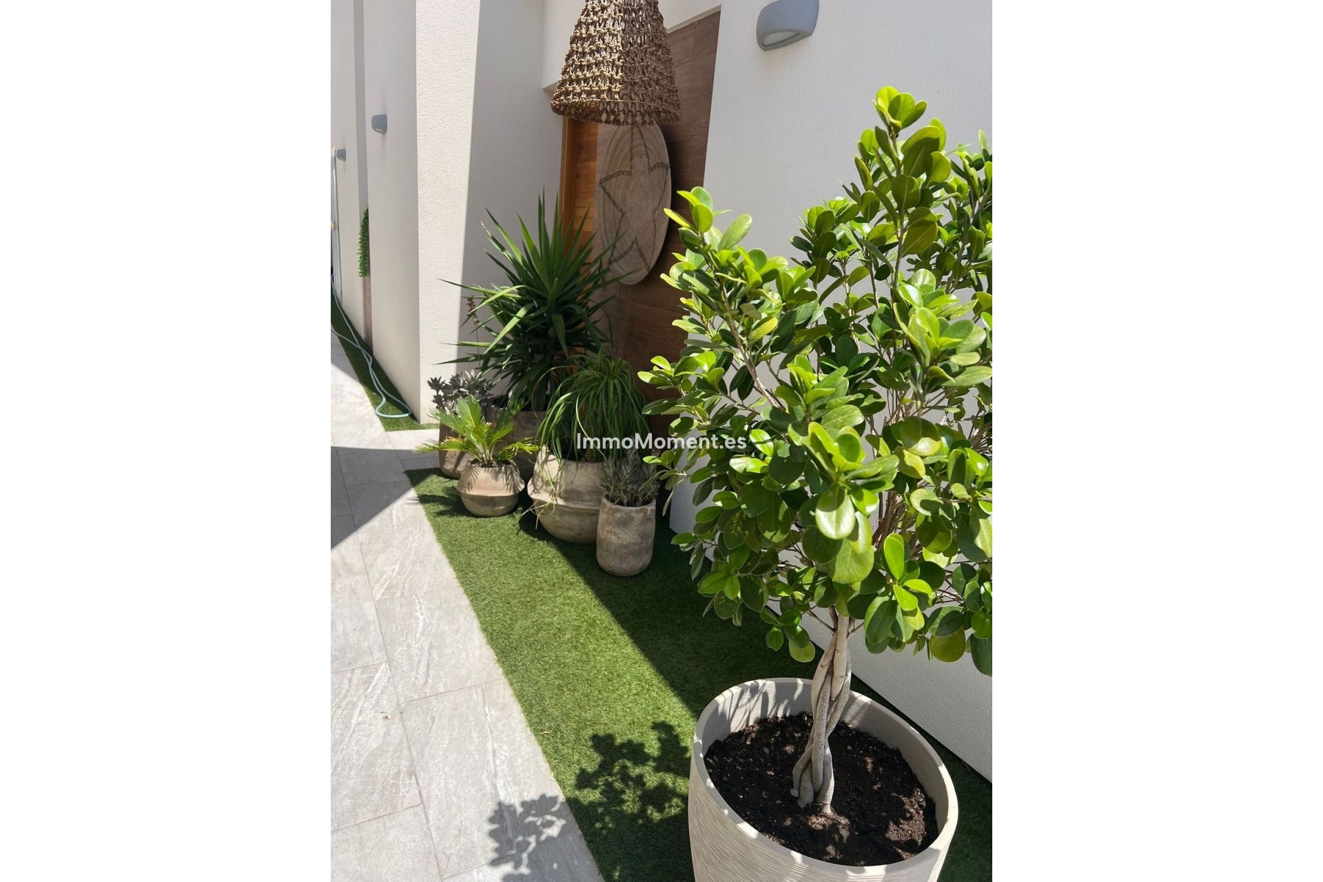 Bestaande woning - Villa - Daya Vieja