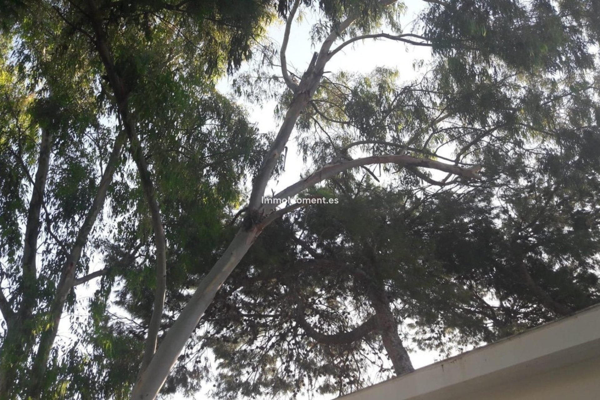 Bestaande woning - Villa - El Campello - Campello - El Campello Centro