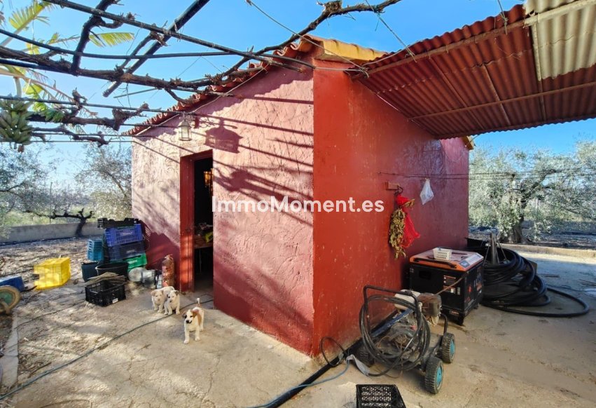 Bestaande woning - Villa - Elche - Las Bayas