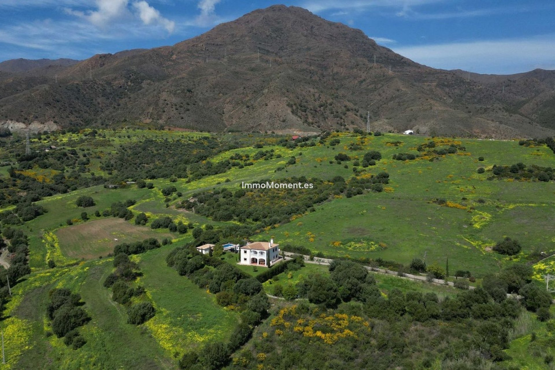 Bestaande woning - Villa - Estepona  - Estepona Centro