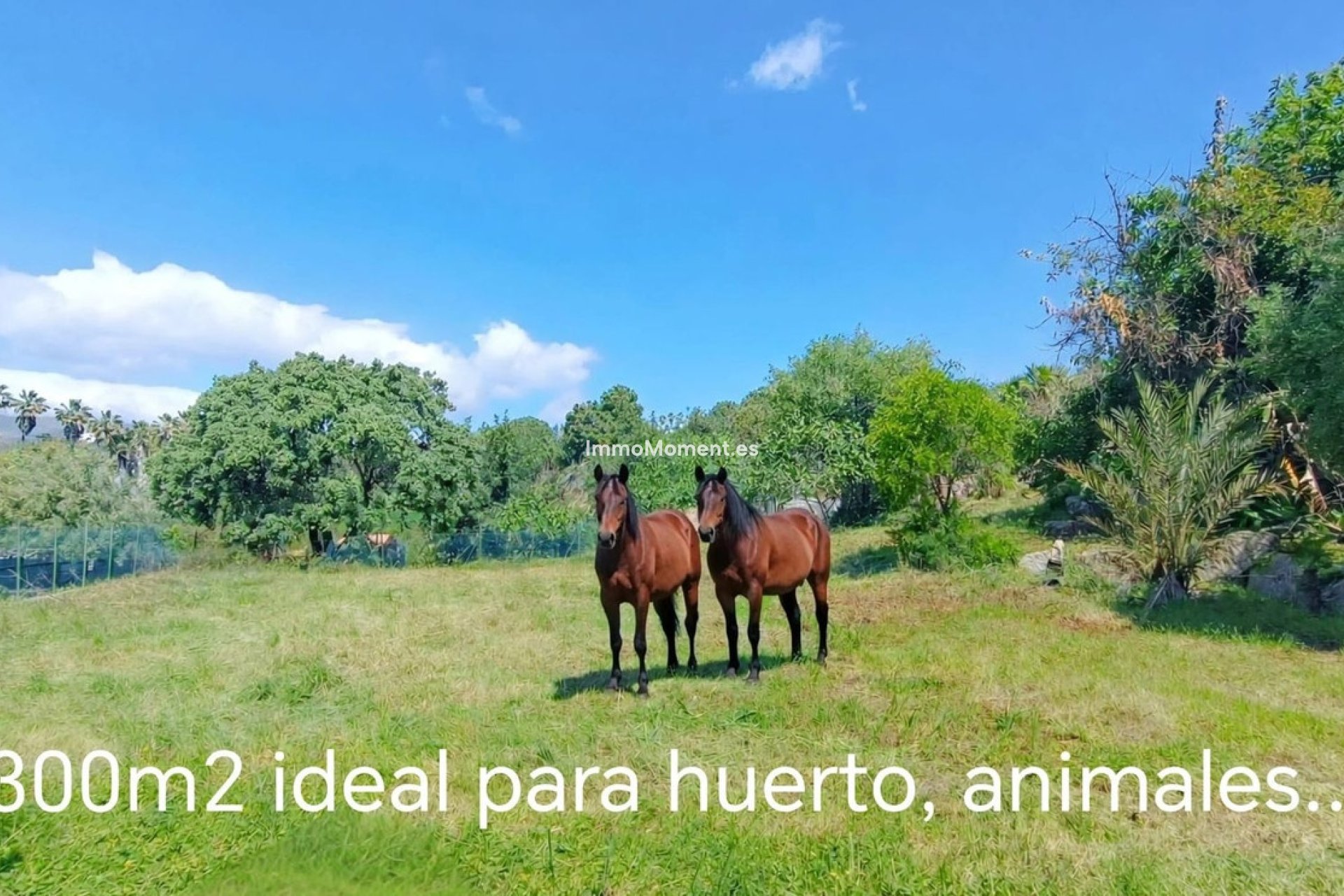 Bestaande woning - Villa - Estepona  - Estepona Centro