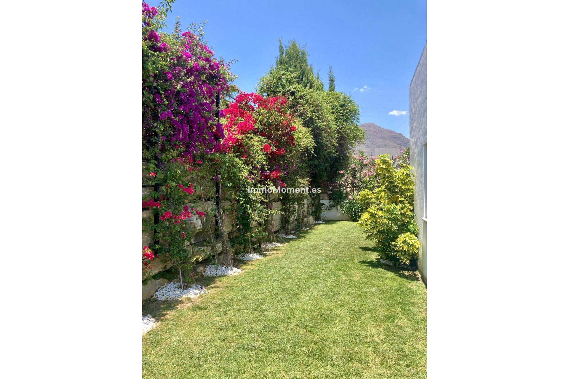 Bestaande woning - Villa - Estepona  - Valle Romano