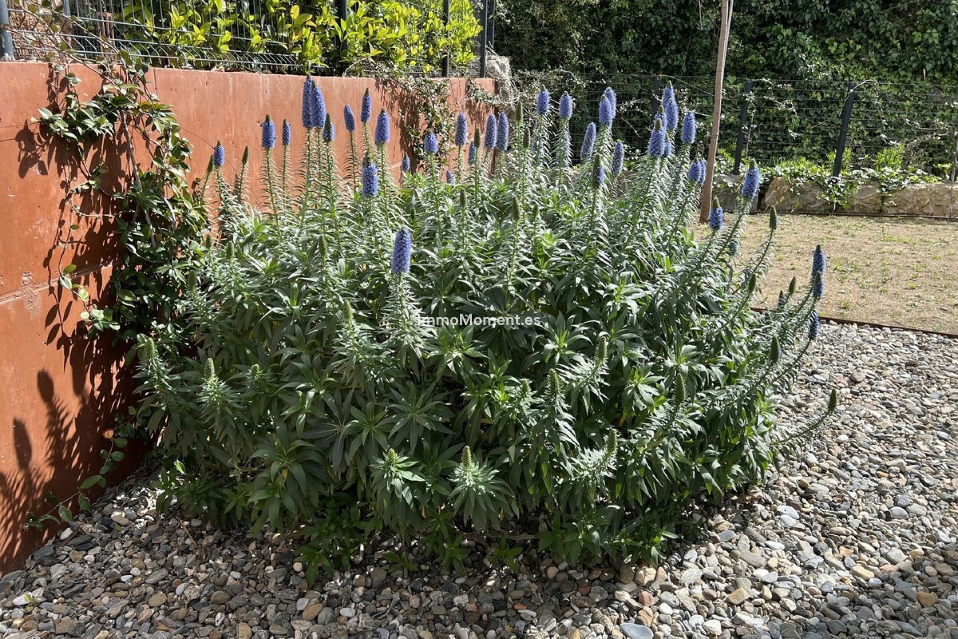 Bestaande woning - Villa - Fuengirola - Fuengirola Centro