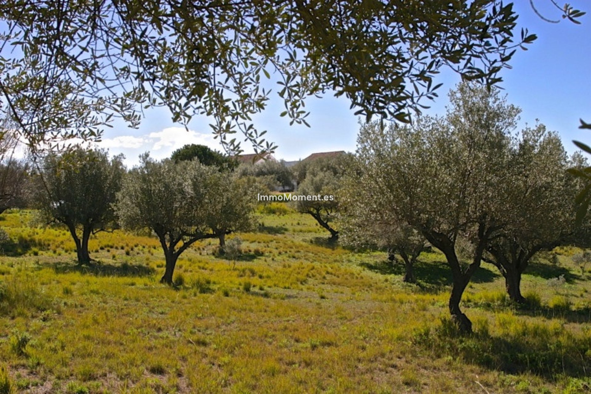 Bestaande woning - Villa - Marbella - Elviria