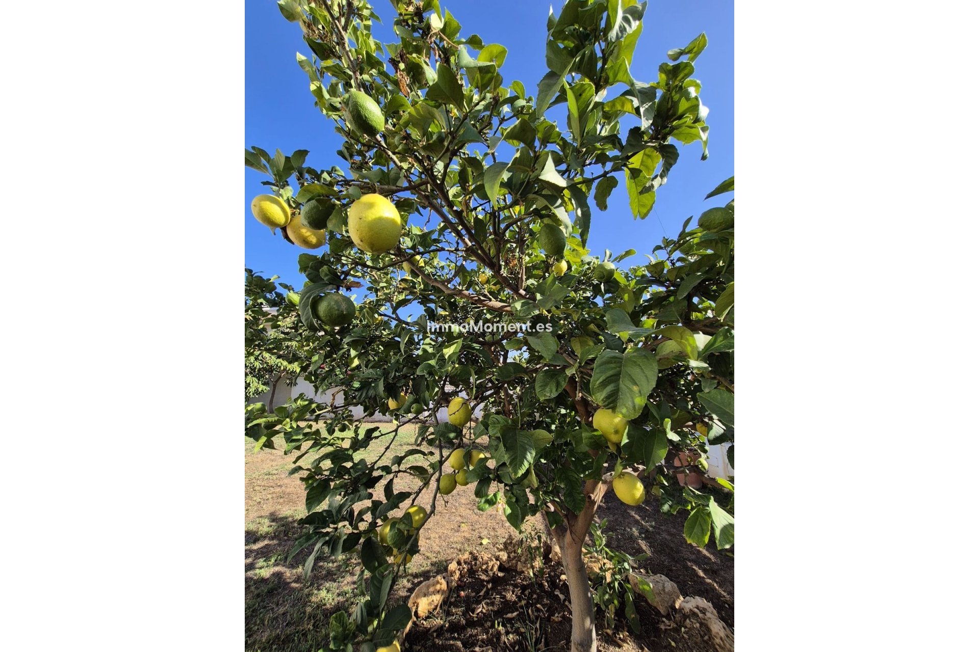 Bestaande woning - Villa - Marbella - San Pedro de Alcántara