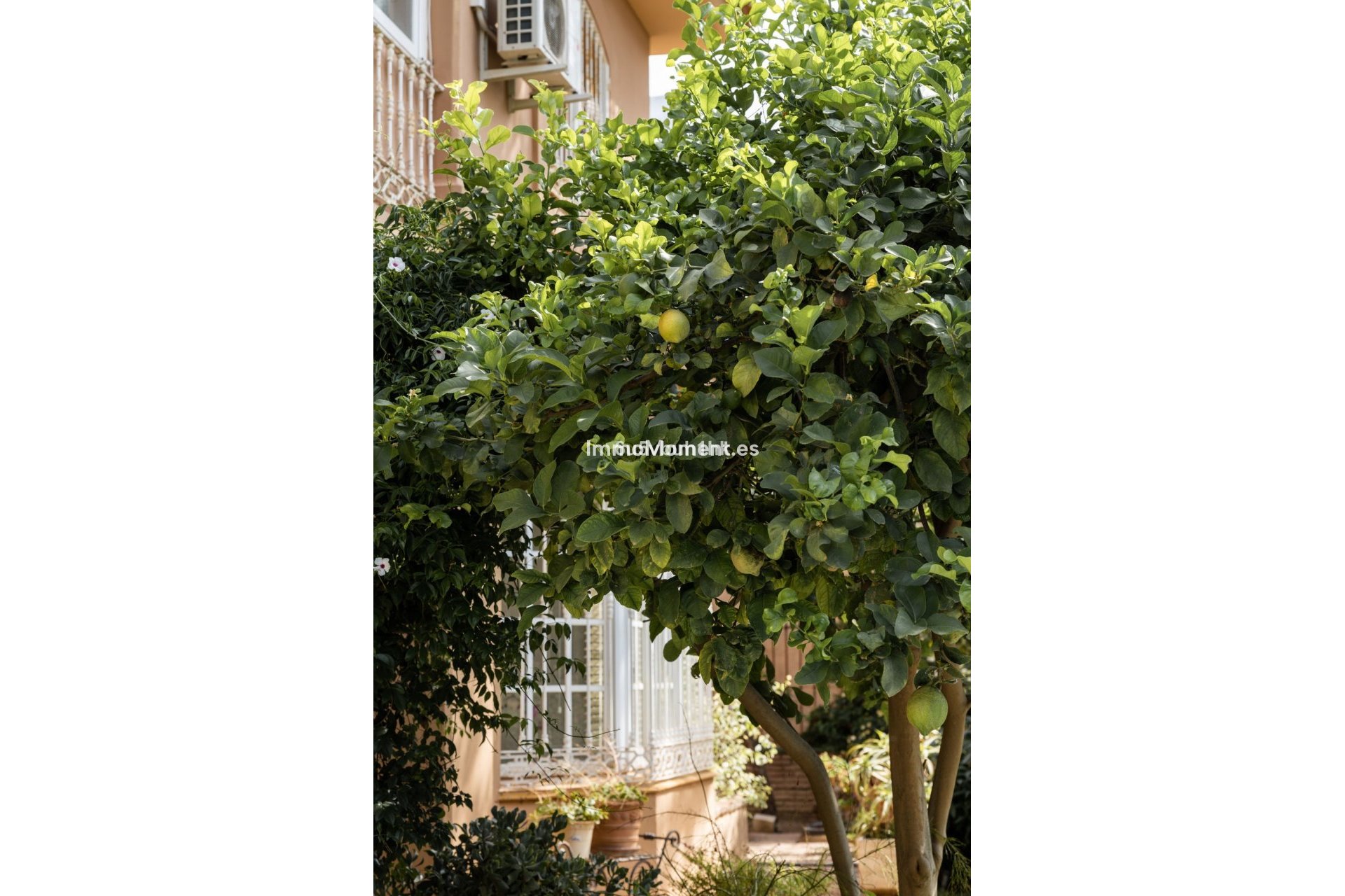 Bestaande woning - Villa - Mijas