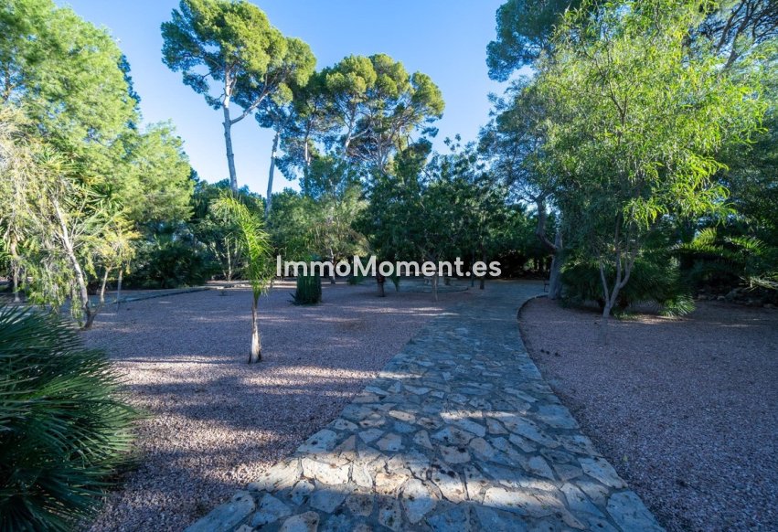 Bestaande woning - Villa - Muchamiel - Muchamiel - Mutxamel Centro