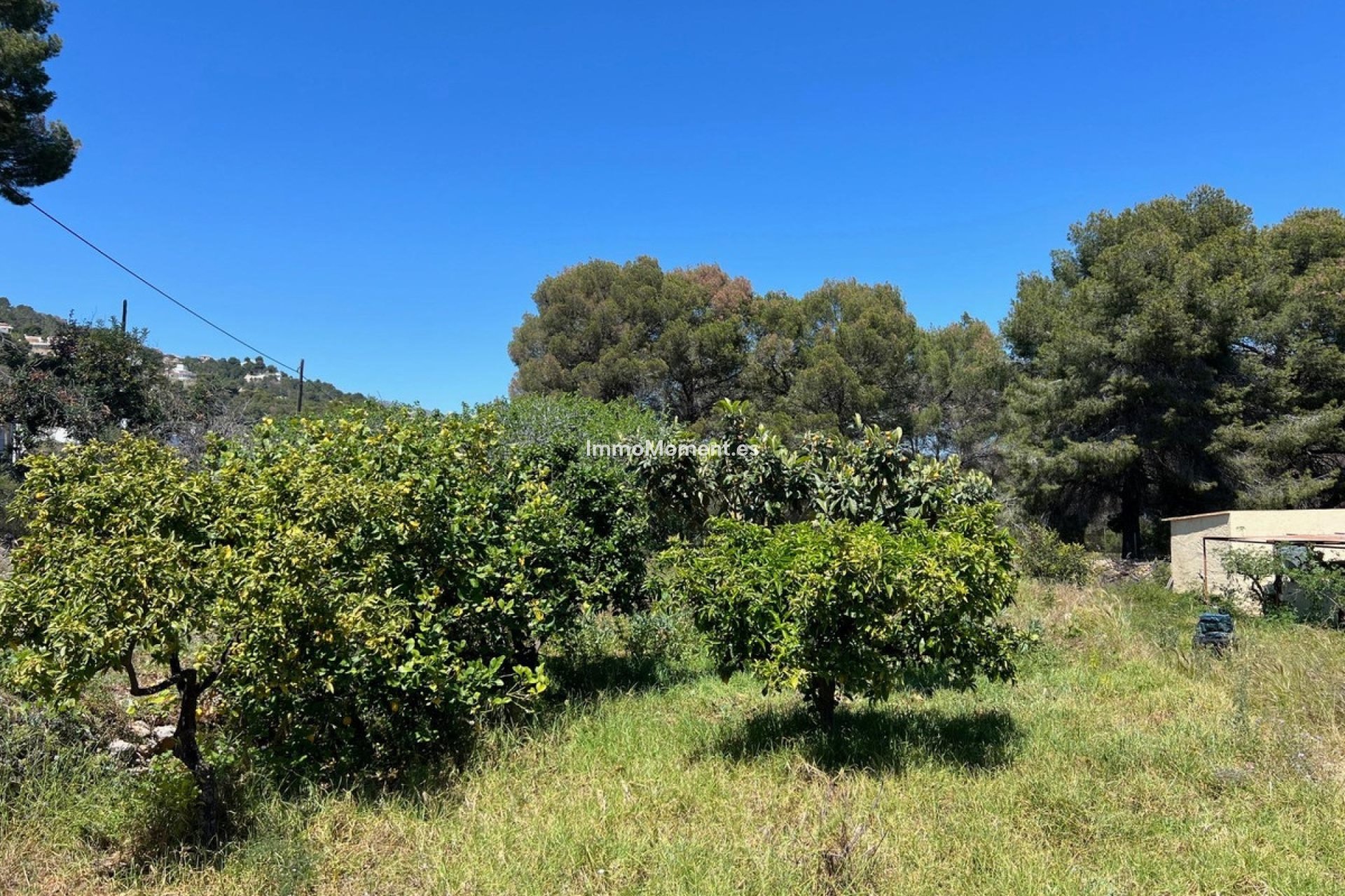 Bestaande woning - Villa - Novelda - Estación