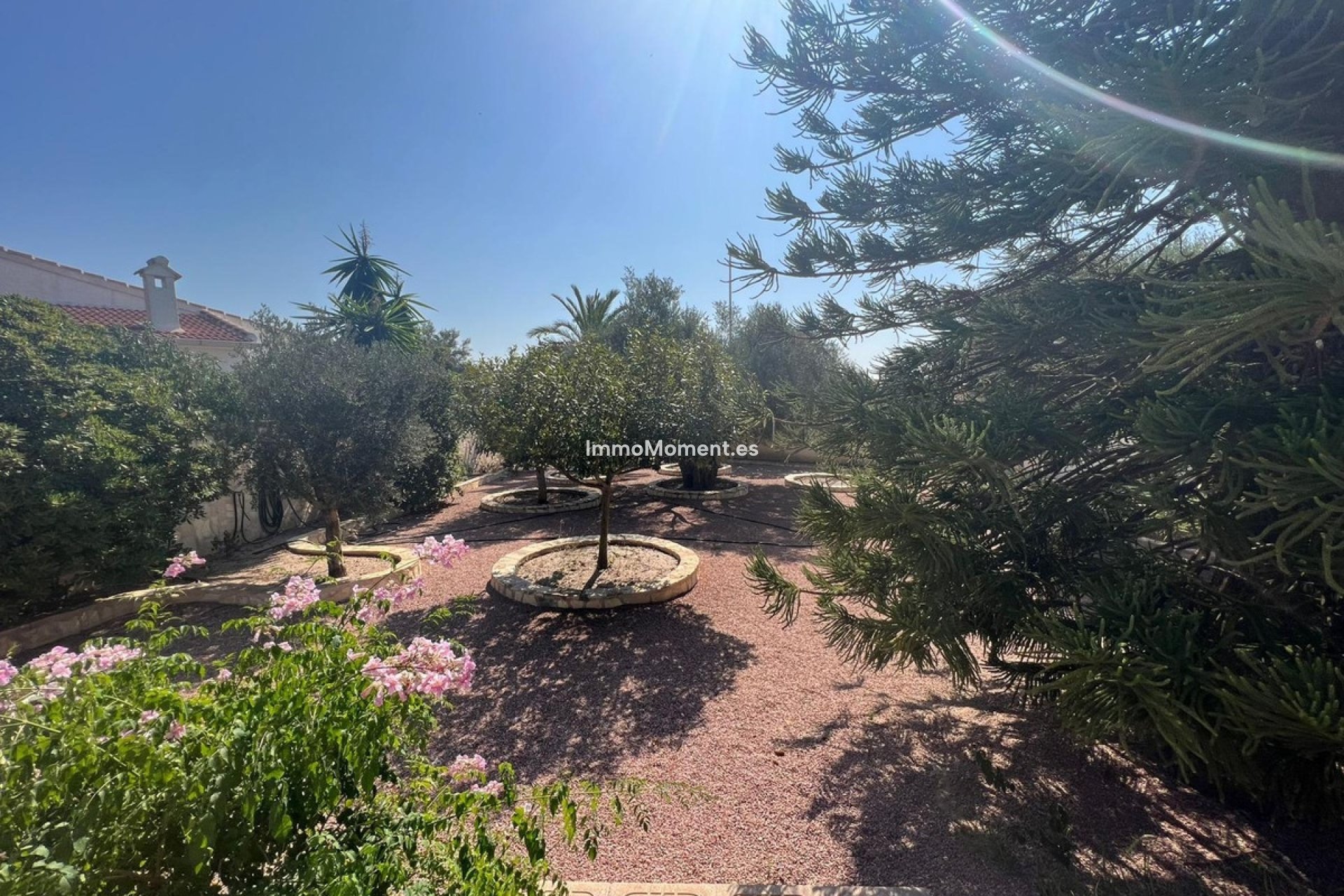 Bestaande woning - Villa - Rojales - Ciudad Quesada