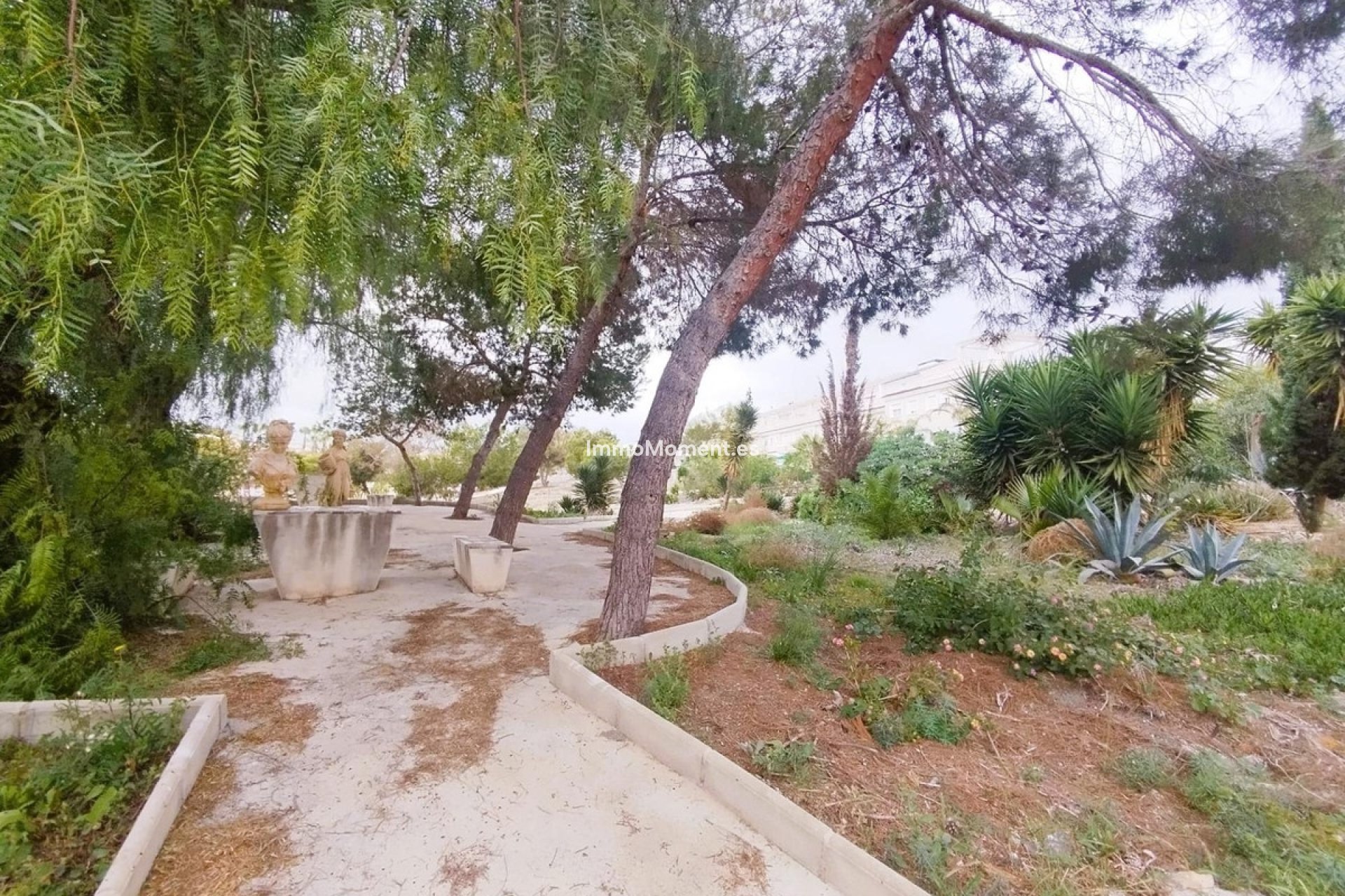 Bestaande woning - Villa - San Miguel de Salinas - San Miguel de Salinas Centro