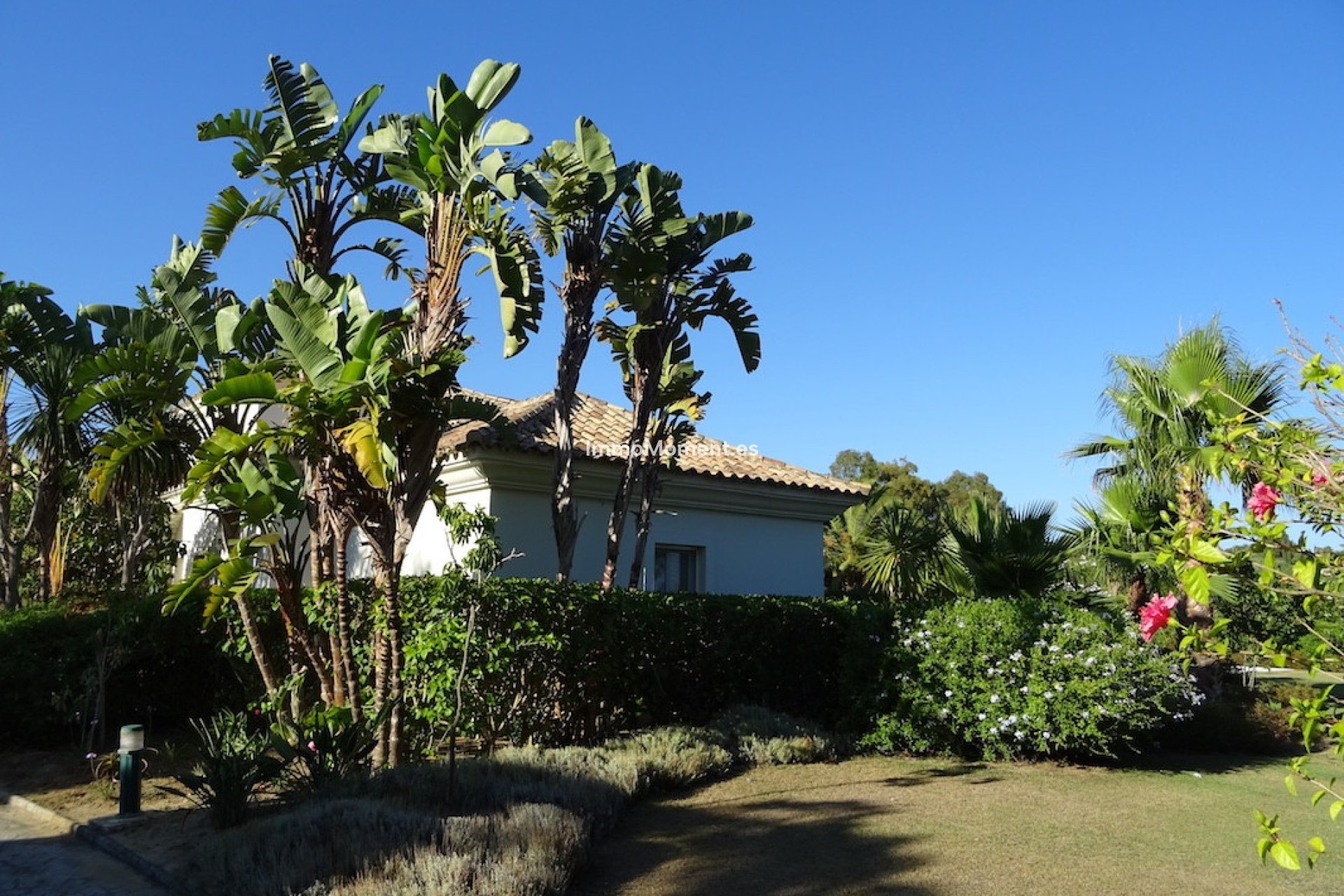 Bestaande woning - Villa - Sotogrande - Sotogrande Alto