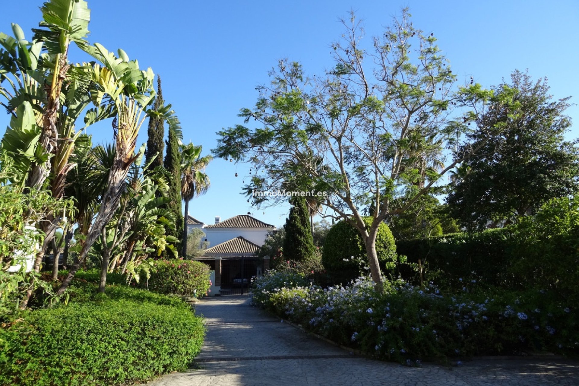 Bestaande woning - Villa - Sotogrande - Sotogrande Alto