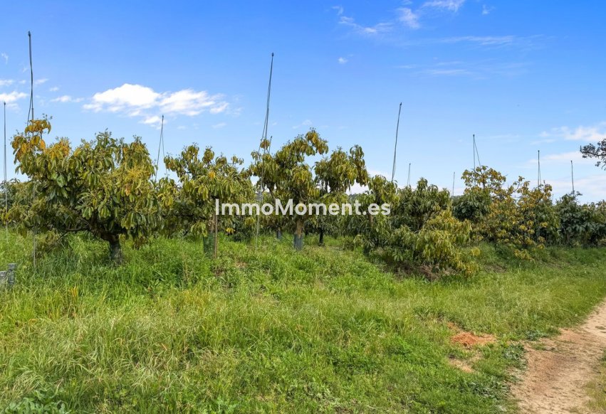 Bestaande woning - Villa - Sotogrande