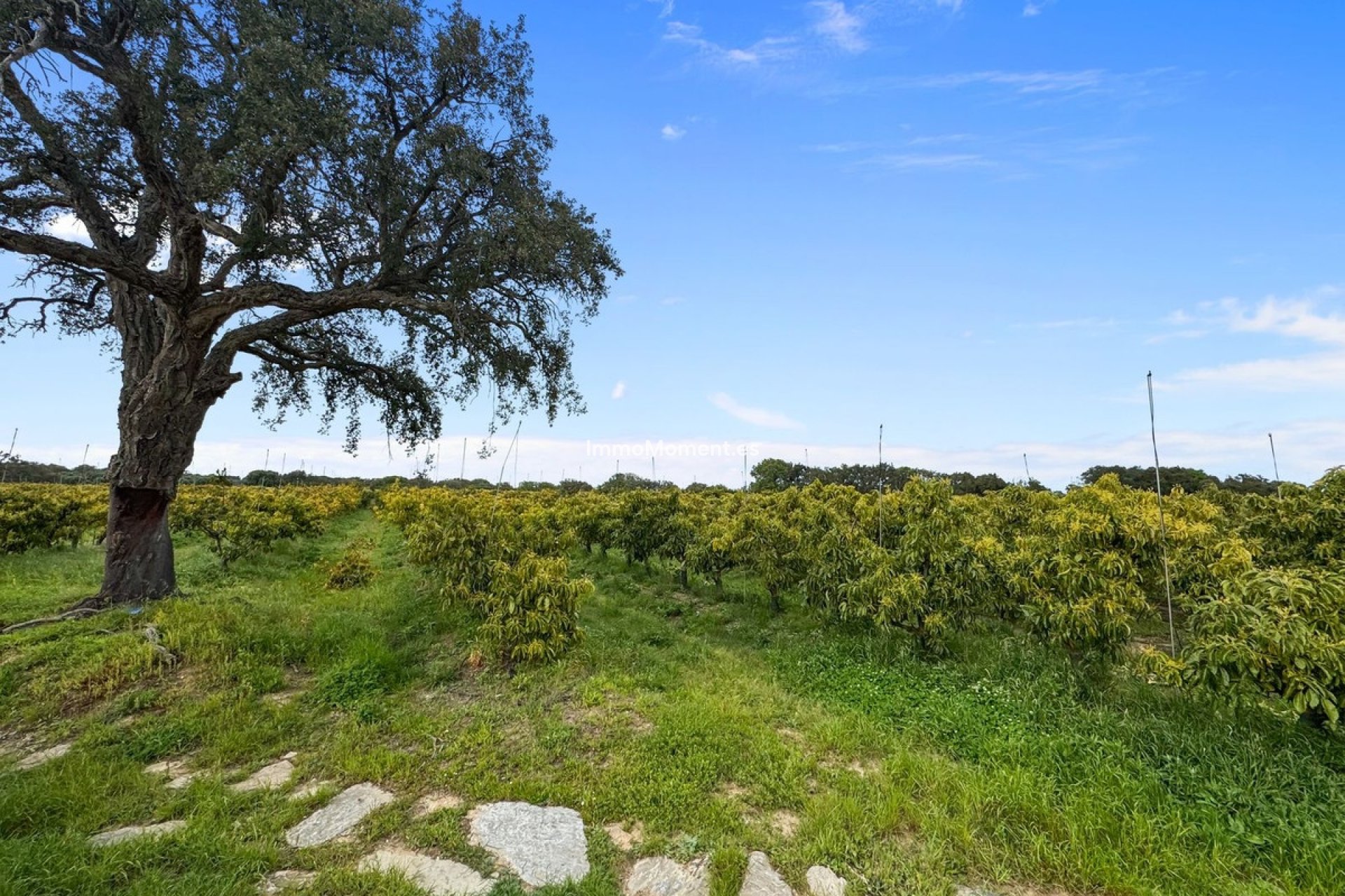 Bestaande woning - Villa - Sotogrande