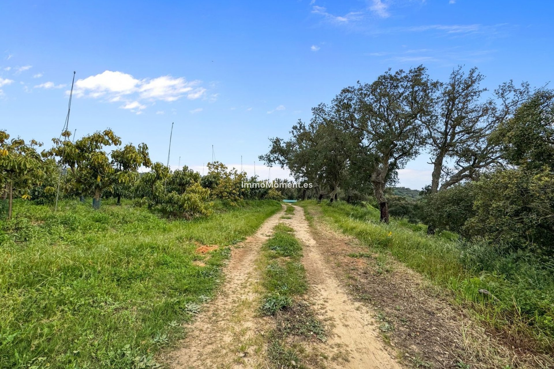 Bestaande woning - Villa - Sotogrande