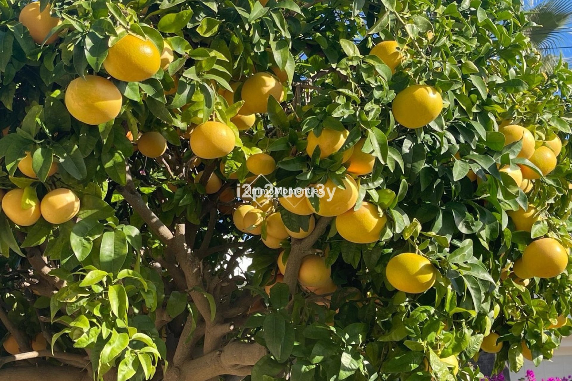 Bestaande woning - Villa - Teulada - Moraira