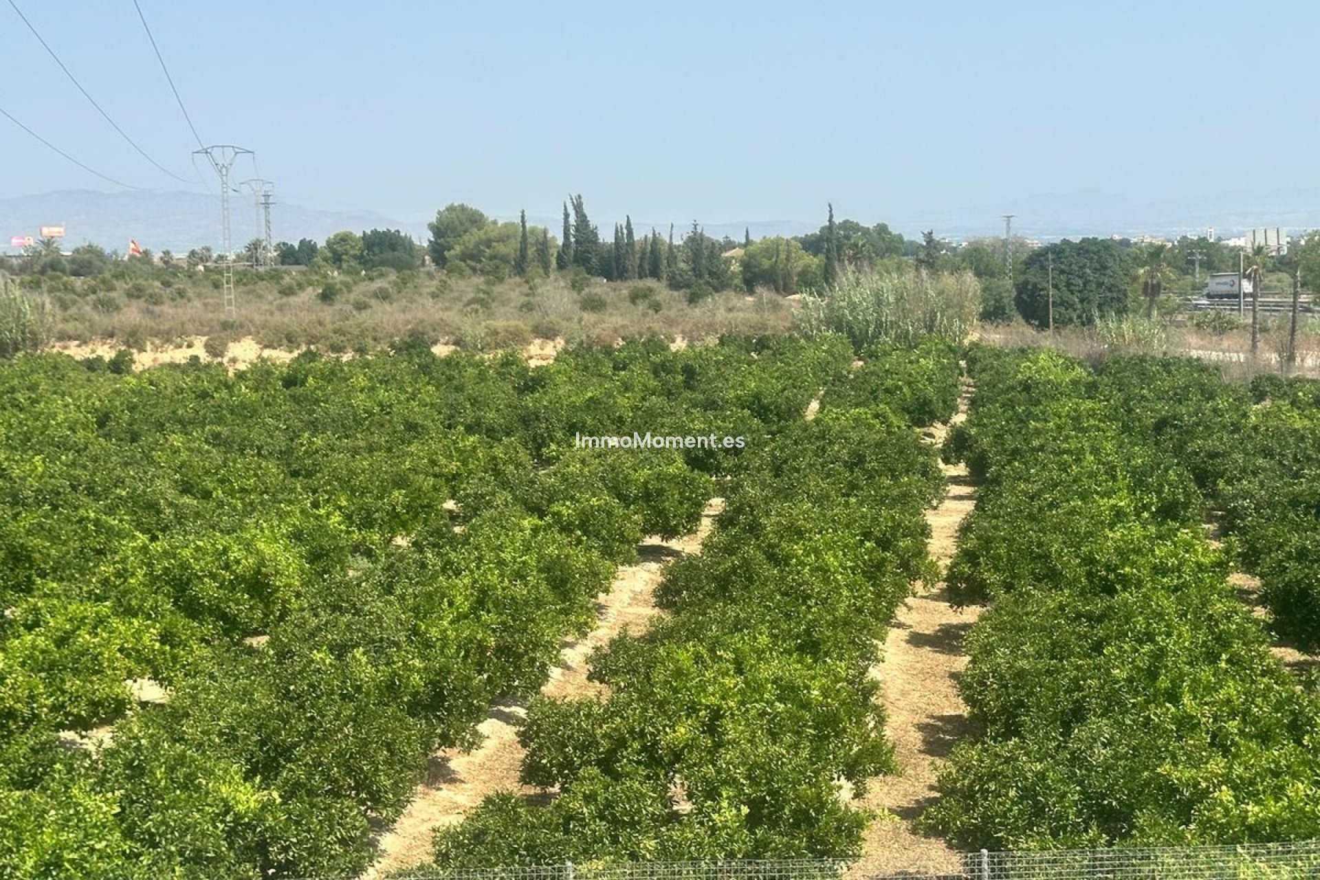 Bestaande woning - Vrijstaande villa - Algorfa - Algorfa Centro
