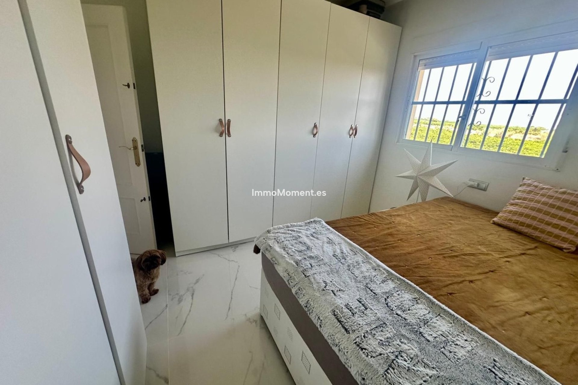 Bestaande woning - Vrijstaande villa - Algorfa - Algorfa Centro