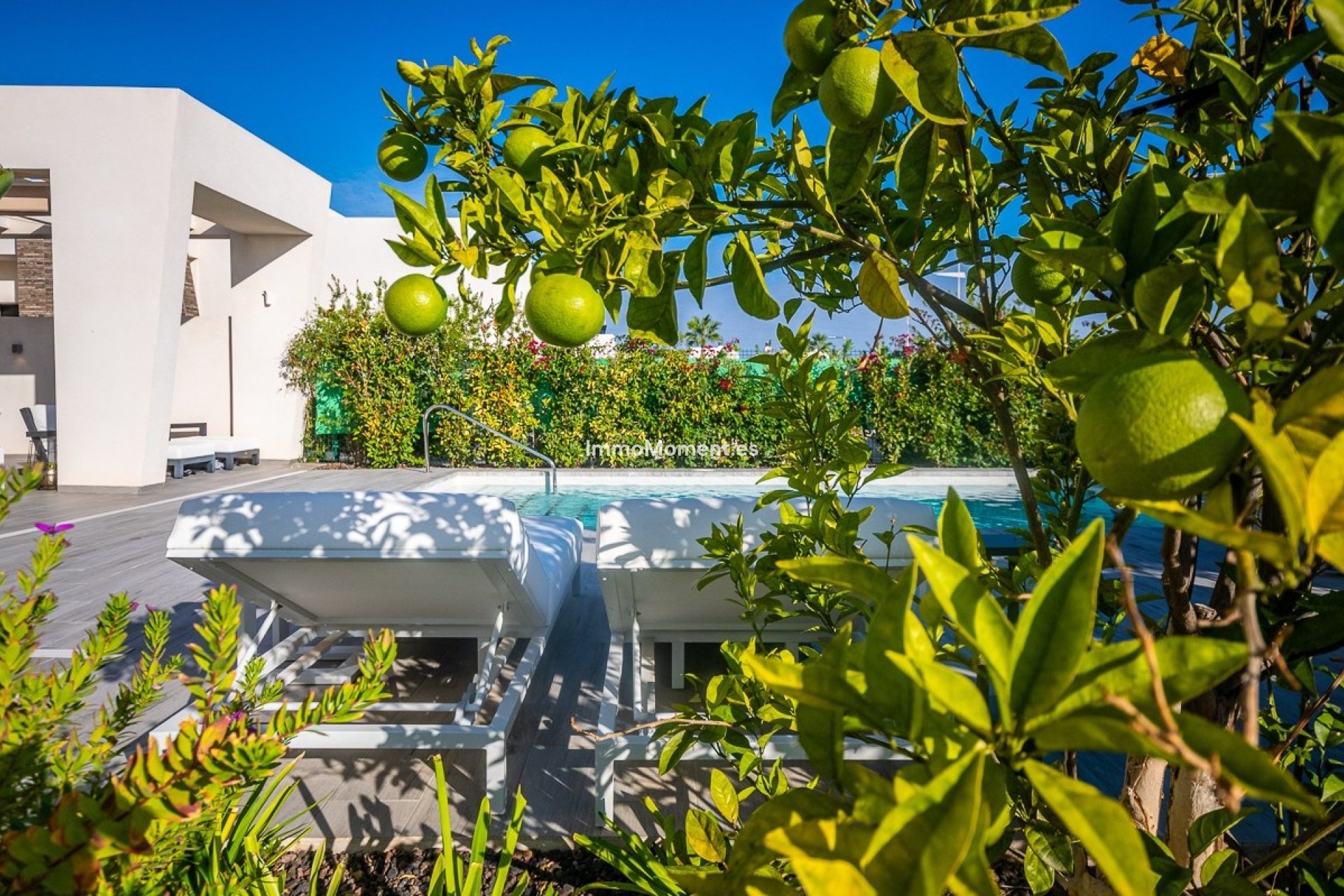Bestaande woning - Vrijstaande villa - Algorfa - Algorfa Centro