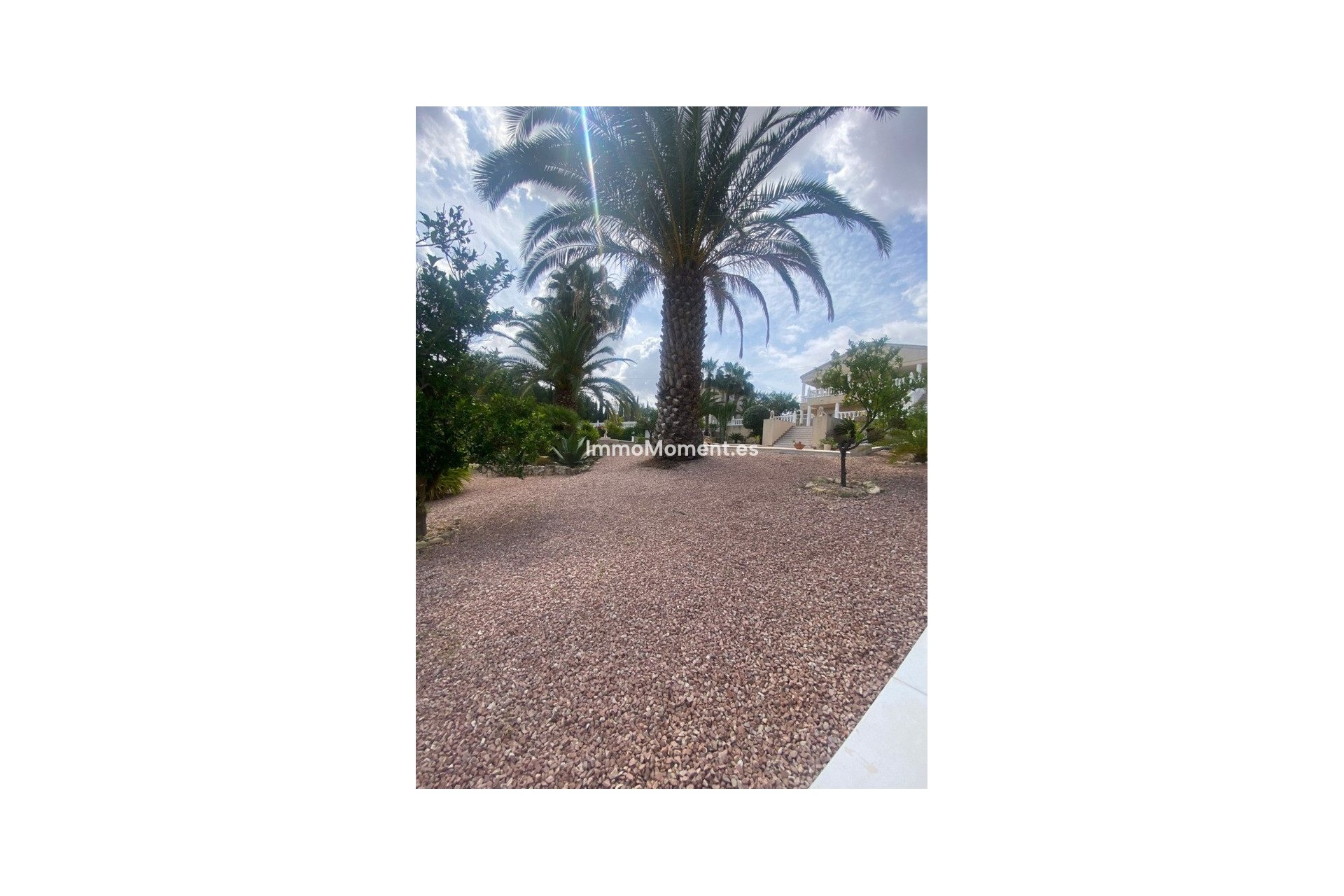 Bestaande woning - Vrijstaande villa - Algorfa - Algorfa Centro