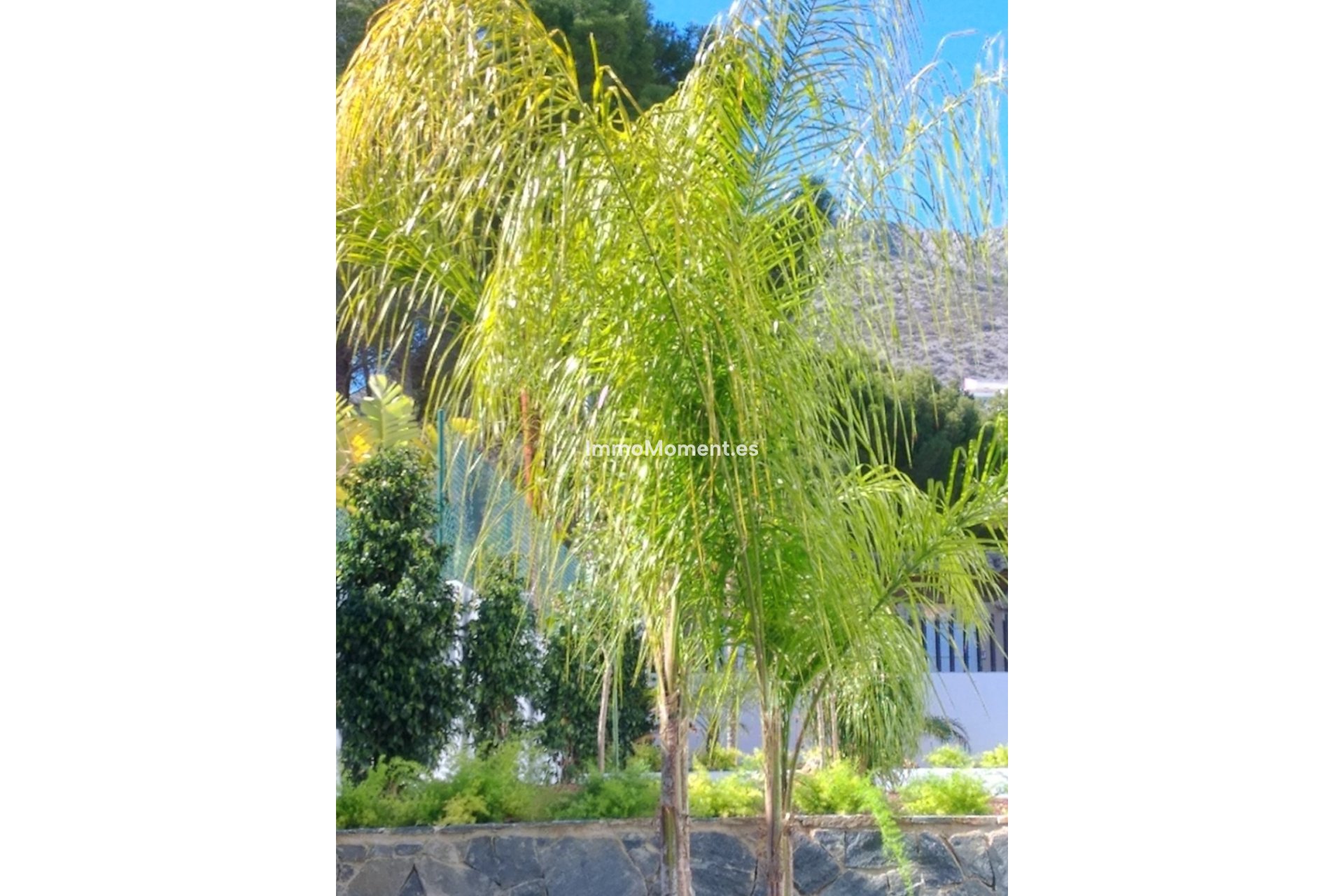 Bestaande woning - Vrijstaande villa - Altea - Altea Centro