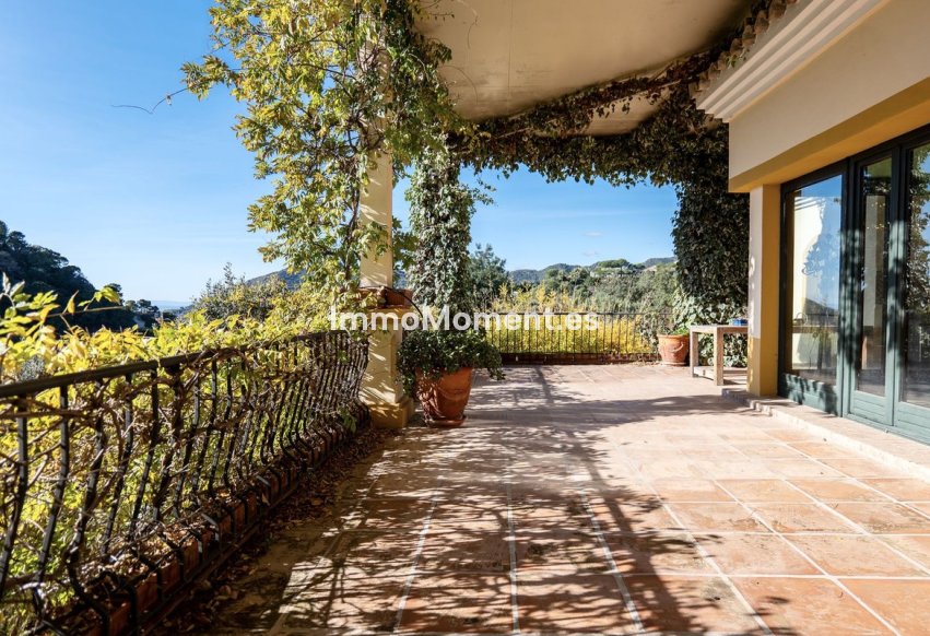 Bestaande woning - Vrijstaande villa - Benahavís - La Zagaleta