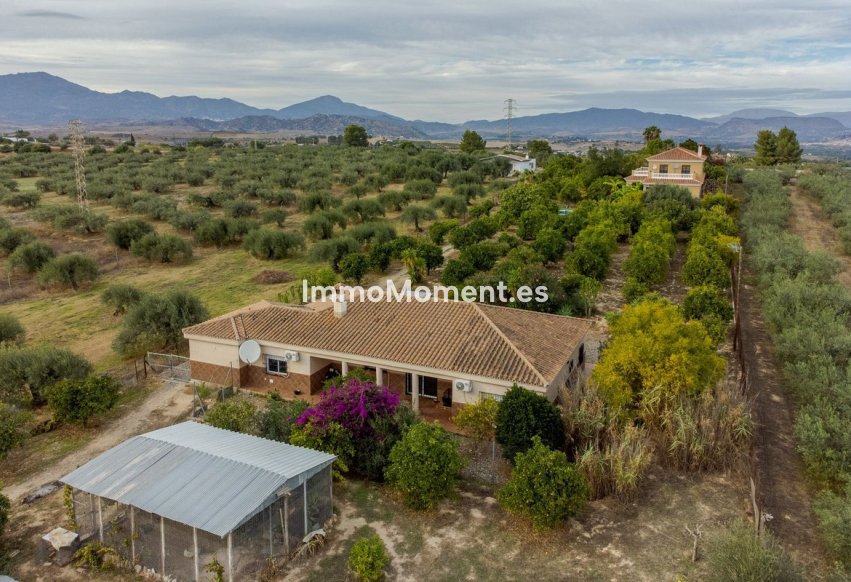 Bestaande woning - Vrijstaande villa - Binnenland  - Alhaurín el Grande Centro