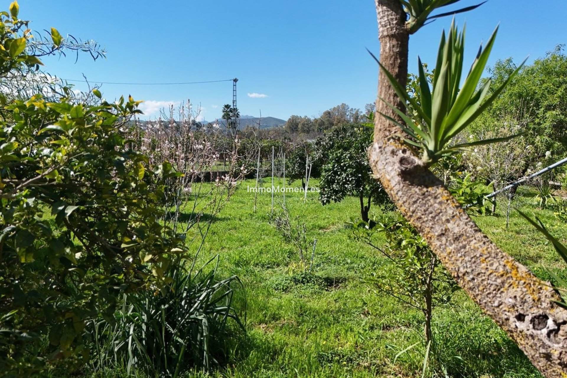 Bestaande woning - Vrijstaande villa - Binnenland  - Coín