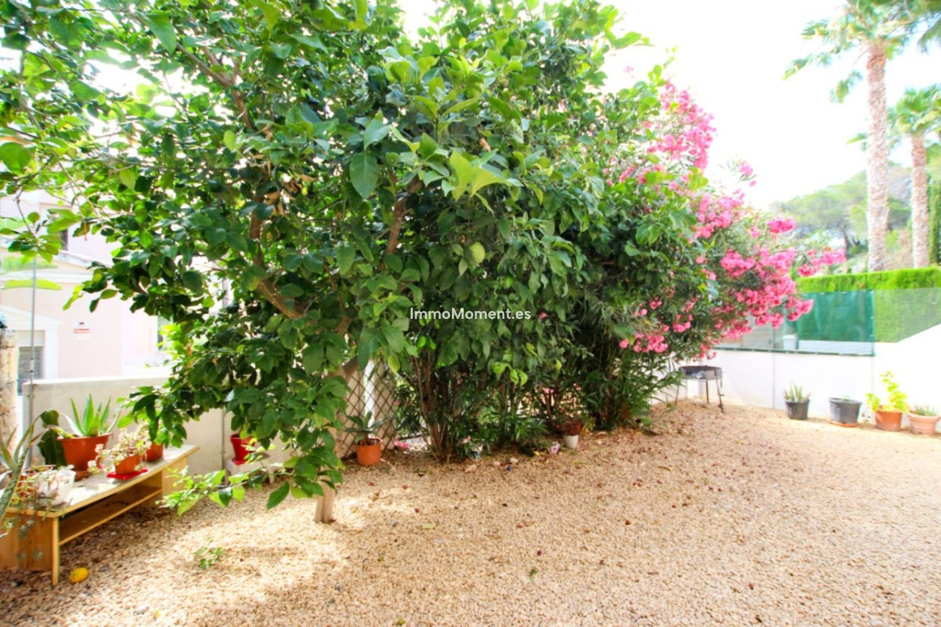 Bestaande woning - Vrijstaande villa - Calpe - Calpe Centro