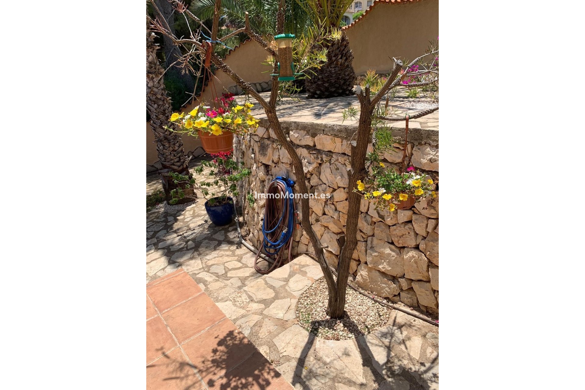 Bestaande woning - Vrijstaande villa - Calpe - Calpe Centro