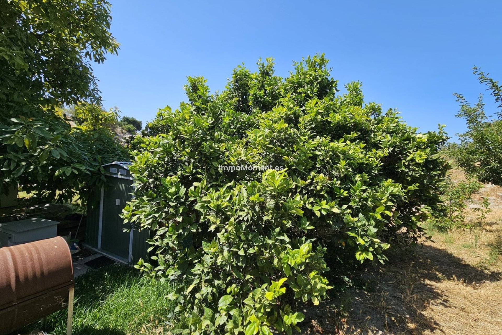 Bestaande woning - Vrijstaande villa - Casares - Casares Centro