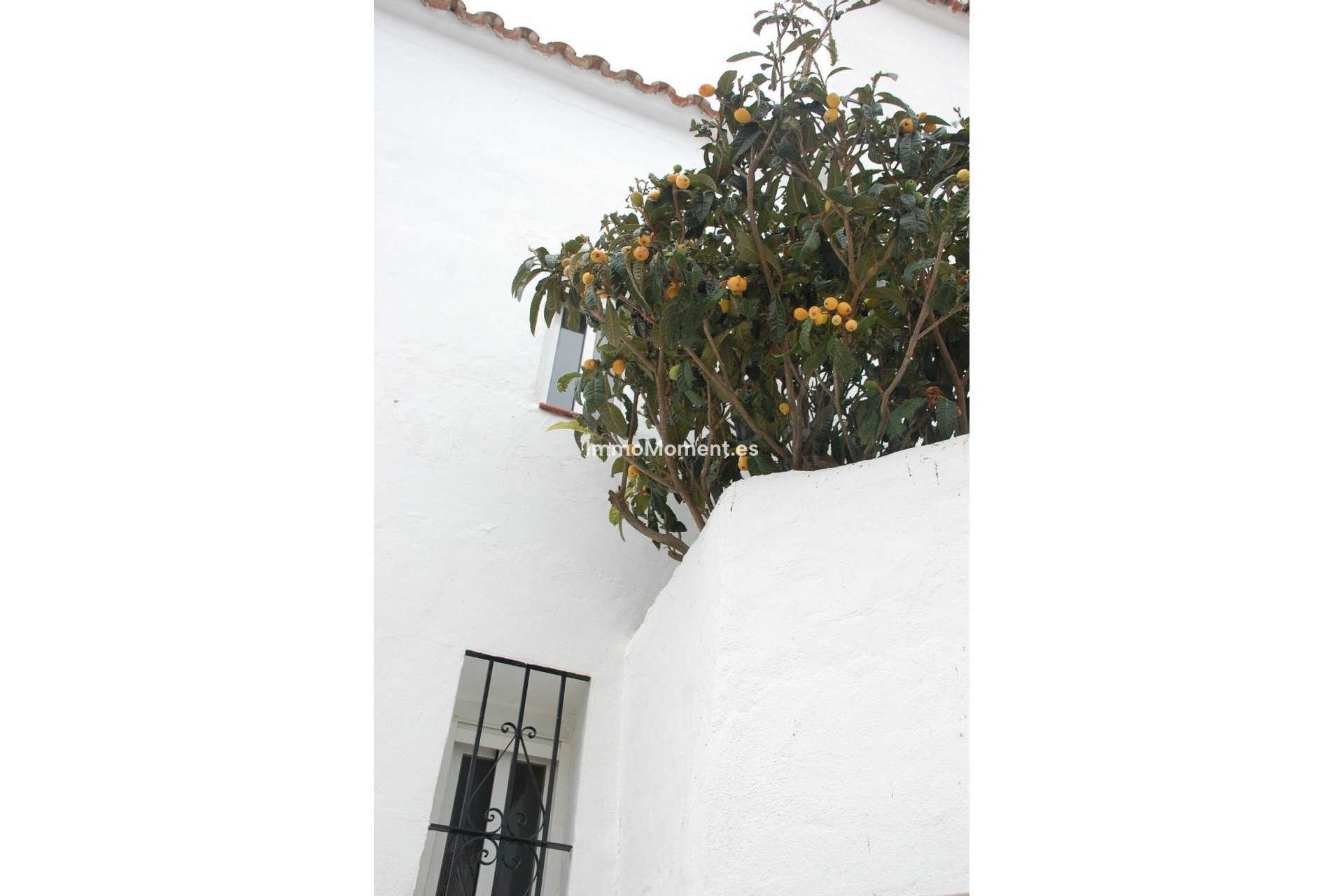 Bestaande woning - Vrijstaande villa - Casares - Casares Centro