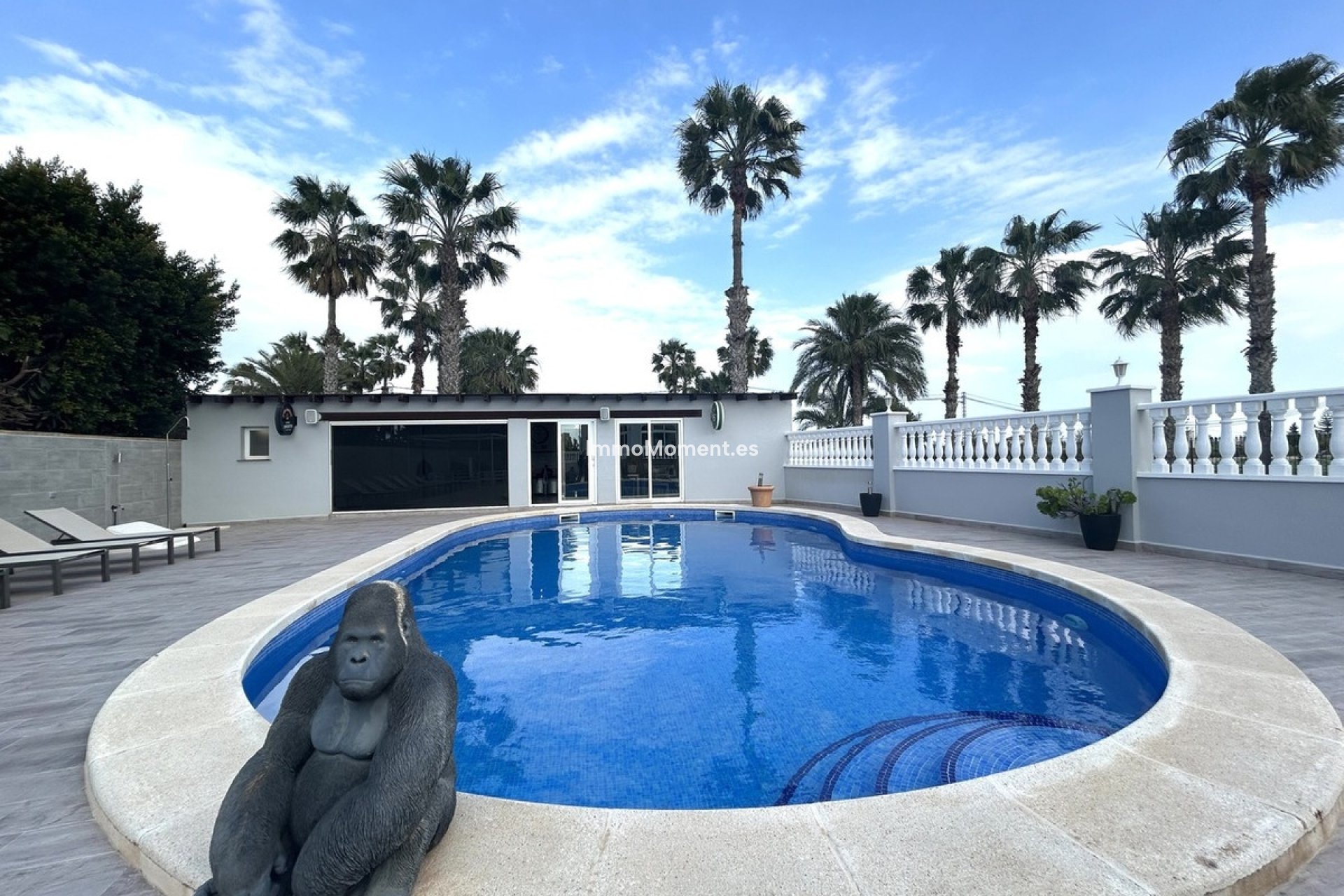 Bestaande woning - Vrijstaande villa - Catral - Catral Centro