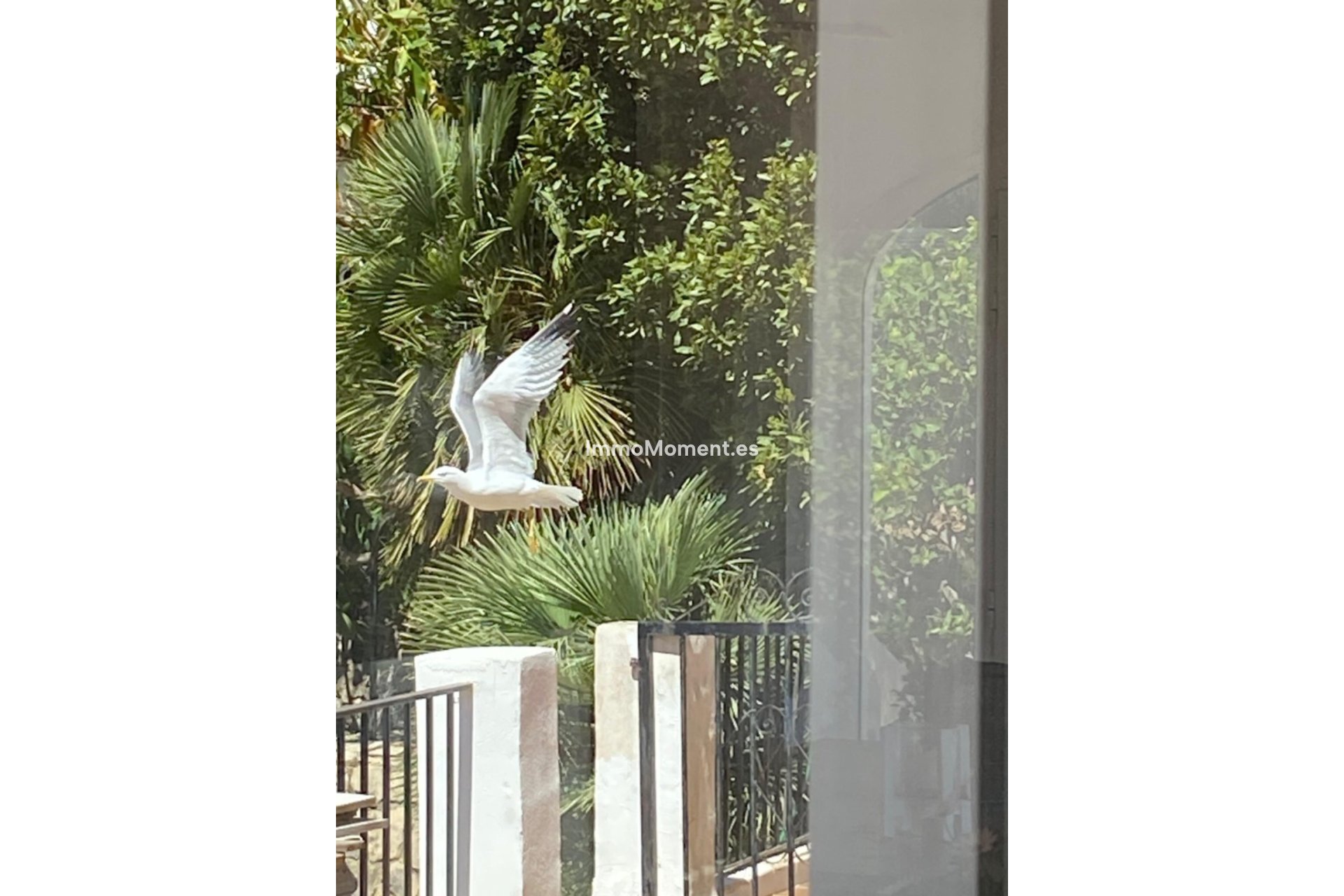 Bestaande woning - Vrijstaande villa - Denia - Denia Centro