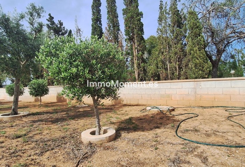 Bestaande woning - Vrijstaande villa - Elche - Elche Centro