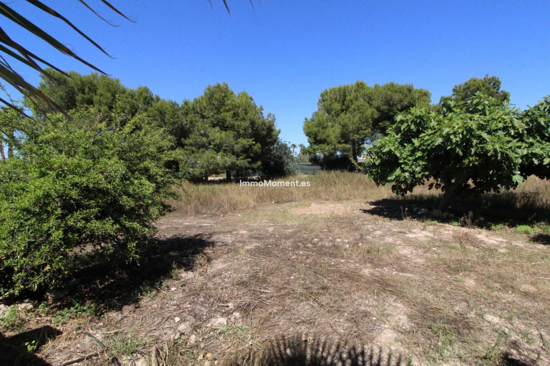 Bestaande woning - Vrijstaande villa - Elche - Elche Centro