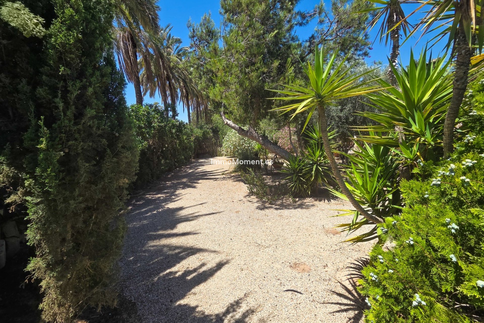 Bestaande woning - Vrijstaande villa - Elche - Elche Centro