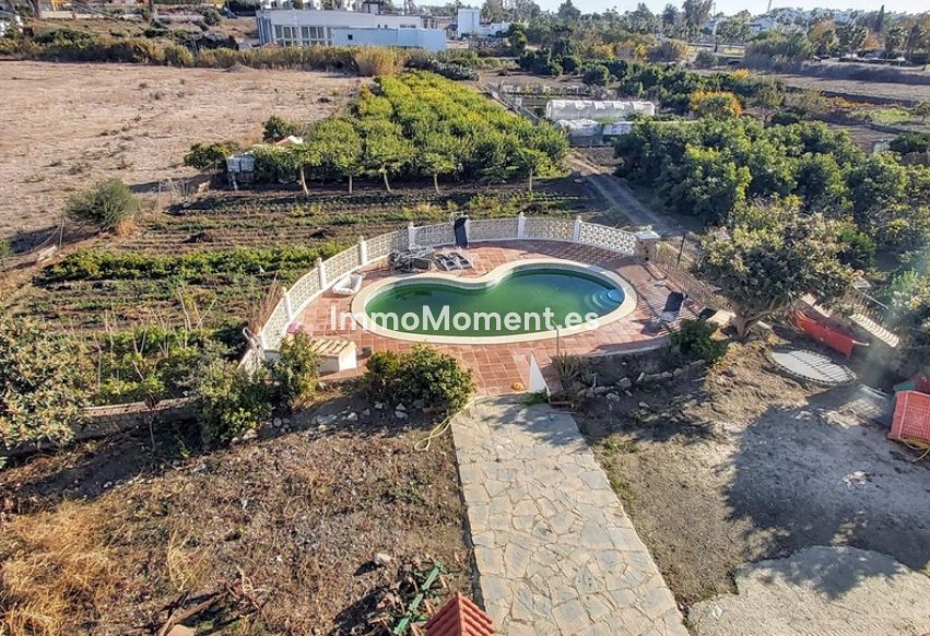 Bestaande woning - Vrijstaande villa - Estepona  - Cancelada