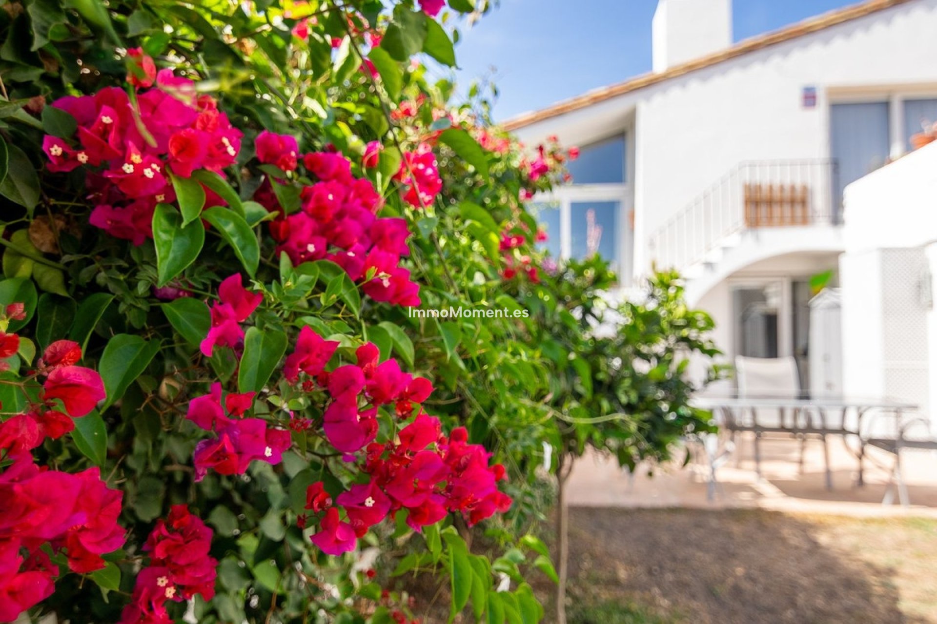 Bestaande woning - Vrijstaande villa - Estepona  - Estepona Centro