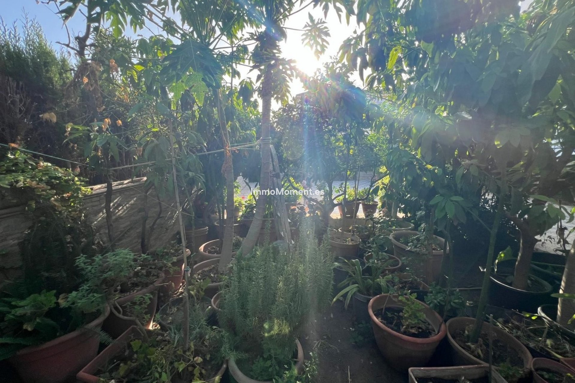 Bestaande woning - Vrijstaande villa - Estepona  - Estepona Centro