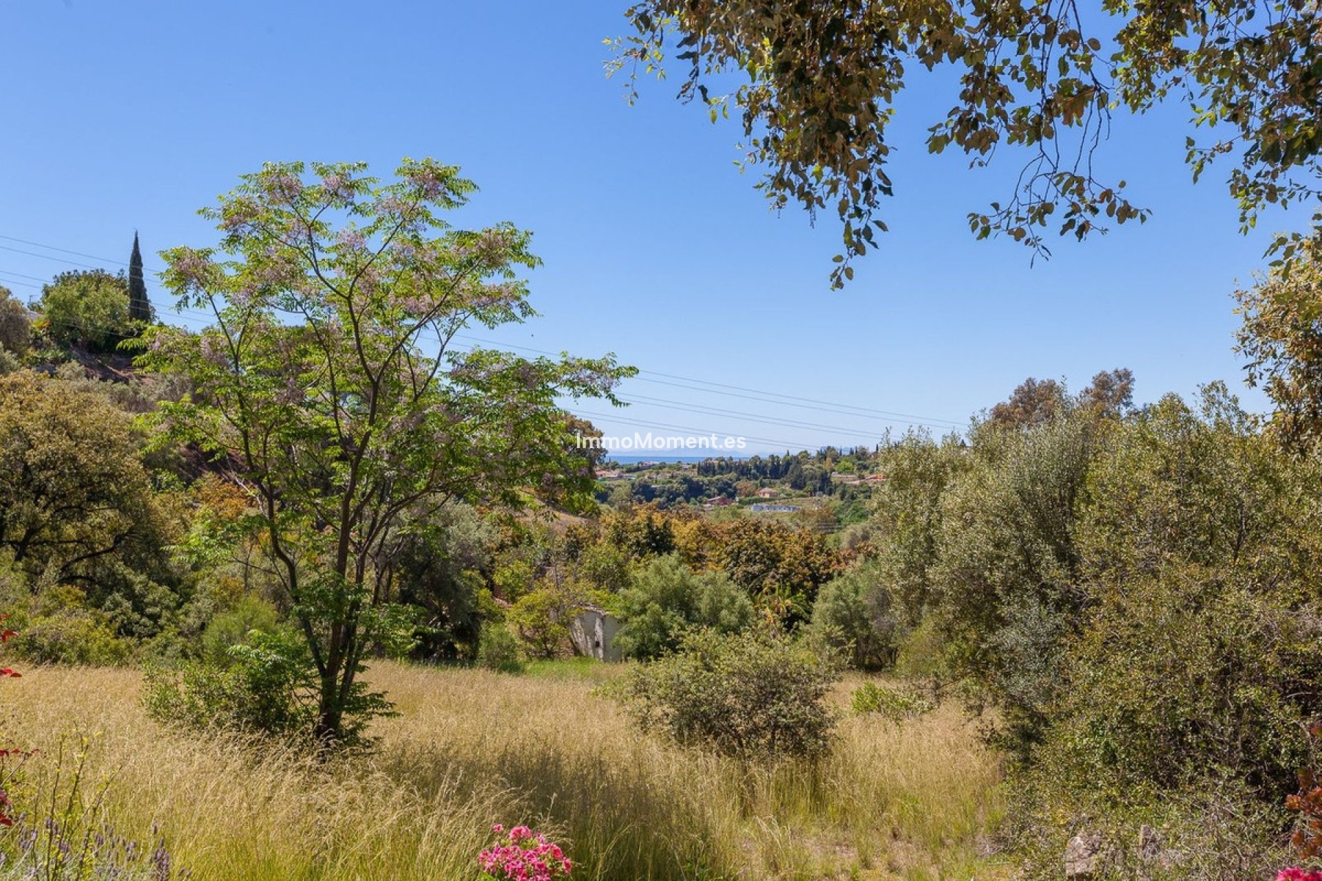 Bestaande woning - Vrijstaande villa - Estepona  - Estepona Centro