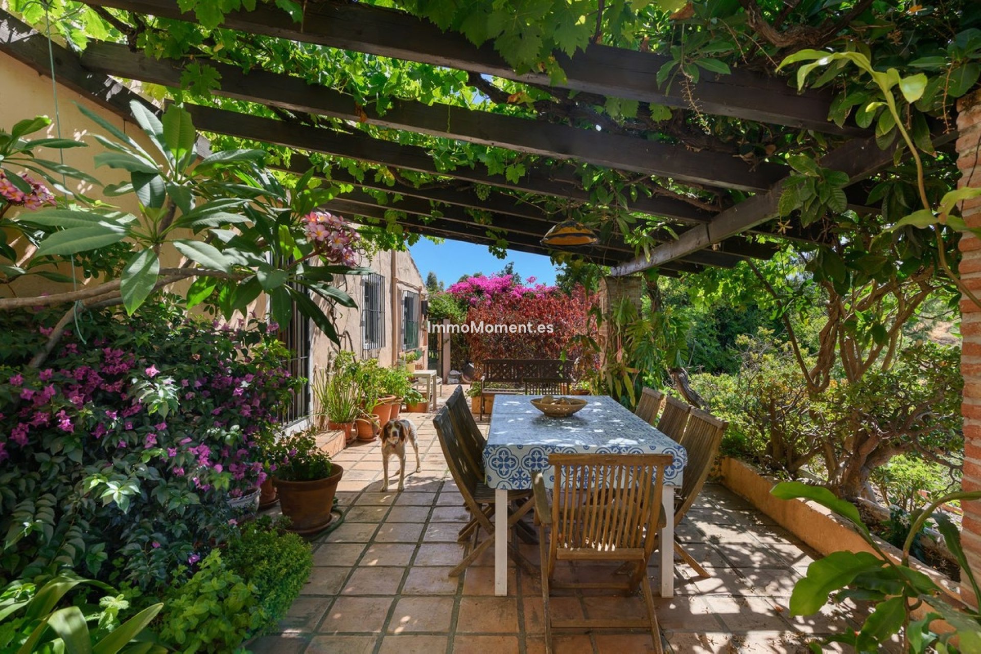 Bestaande woning - Vrijstaande villa - Estepona  - Estepona Centro