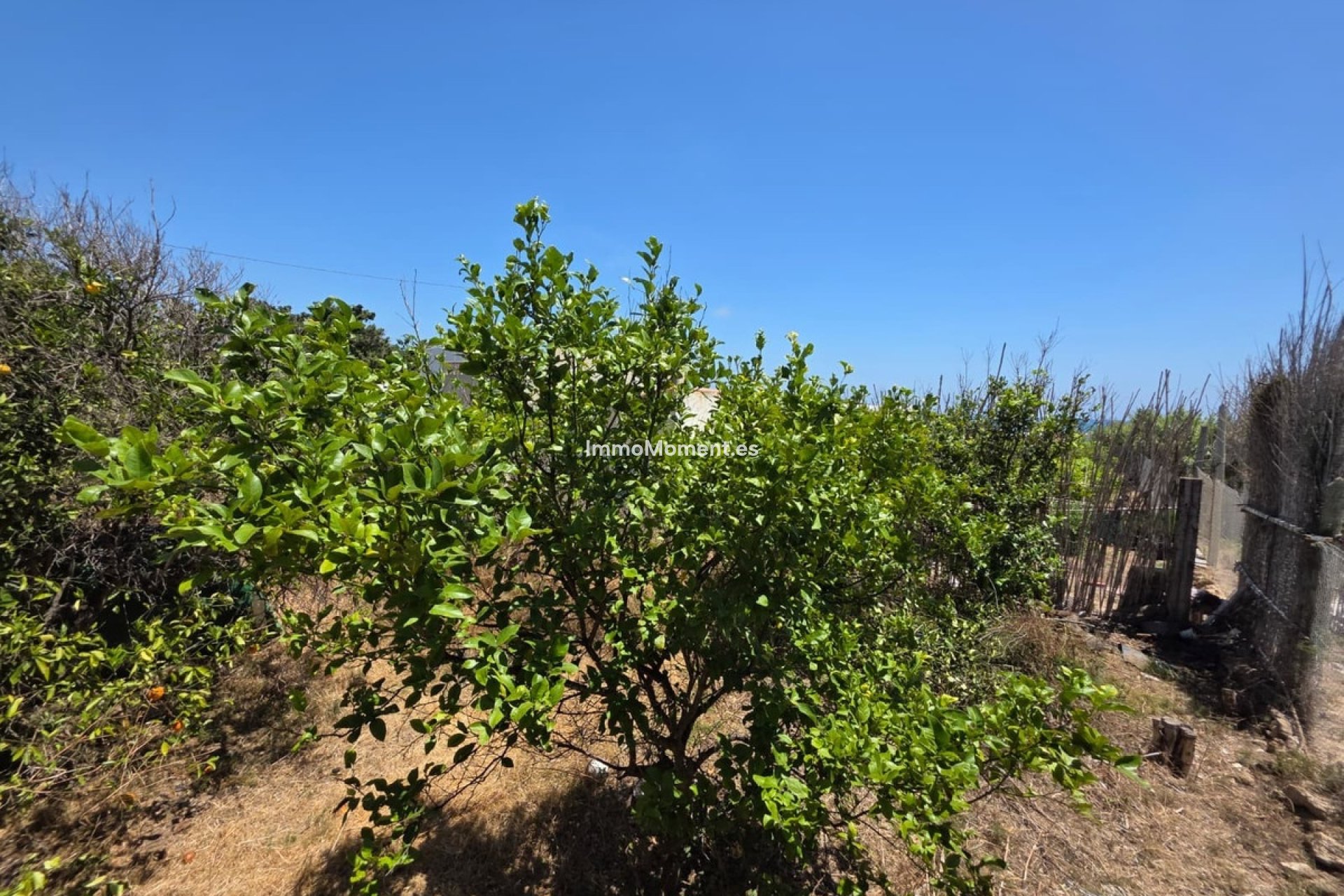 Bestaande woning - Vrijstaande villa - Guardamar del Segura - Guardamar del Segura Centro
