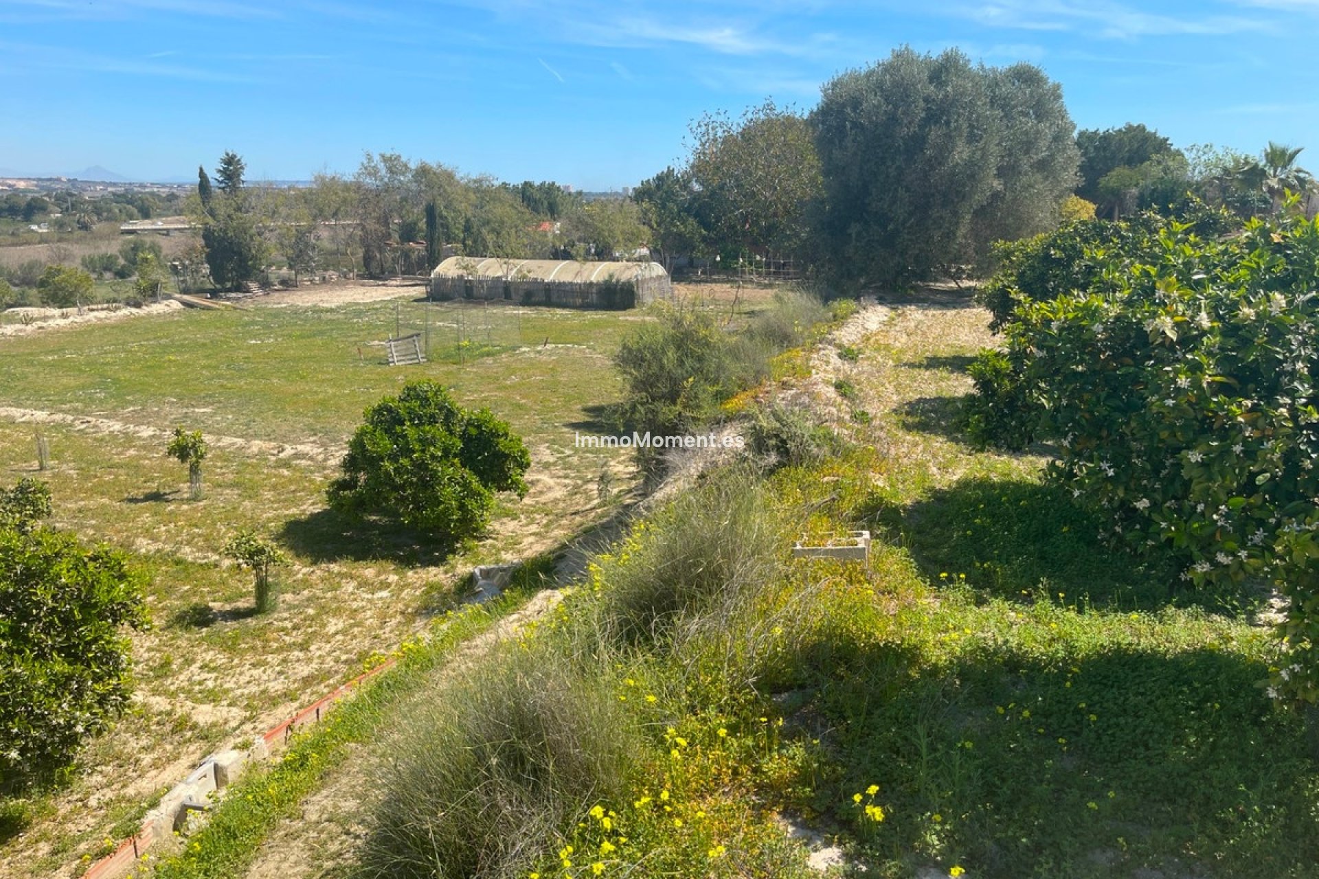 Bestaande woning - Vrijstaande villa - Guardamar del Segura - Guardamar del Segura Centro